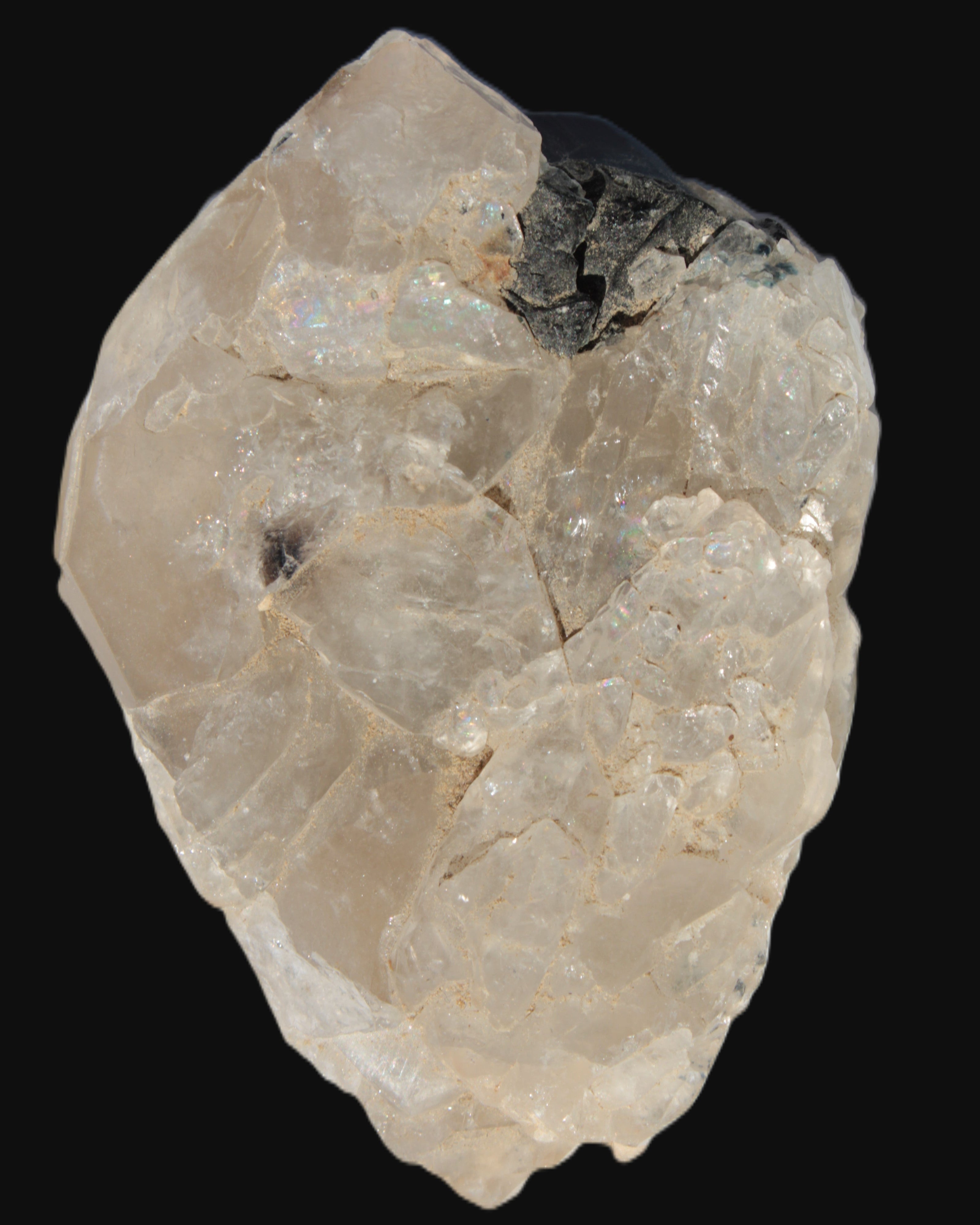 Black Tourmaline on flat-plated clear Calcite matrix from Afghanistan 65.8g in sunlight - Rocks and Things Store