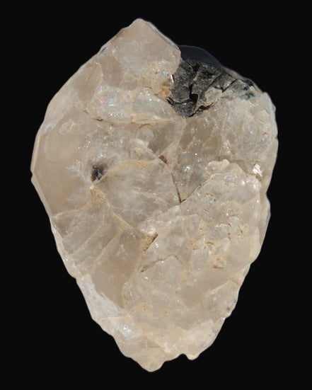 Black Tourmaline on flat-plated clear Calcite matrix from Afghanistan 65.8g in sunlight - Rocks and Things Store
