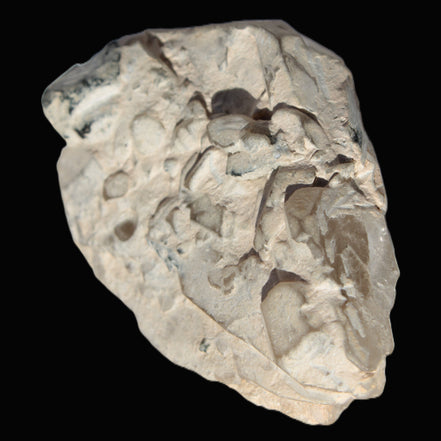 Black Tourmaline on flat-plated clear Calcite matrix from Afghanistan 65.8g in sunlight - Rocks and Things Store