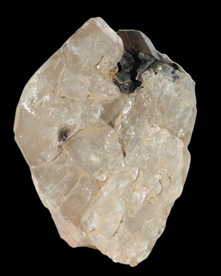 Black Tourmaline on flat-plated clear Calcite matrix from Afghanistan 65.8g in sunlight - Rocks and Things Store