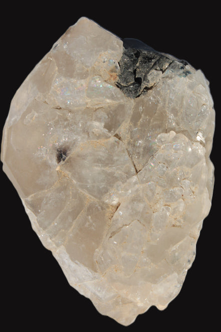 Black Tourmaline on flat-plated clear Calcite matrix from Afghanistan 65.8g in sunlight - Rocks and Things Store