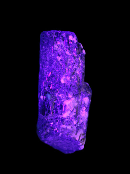 Black Tourmaline crystal with Feldspar & Mica 55mm 250.7ct  50.2g in UV light - Rocks and Things Store