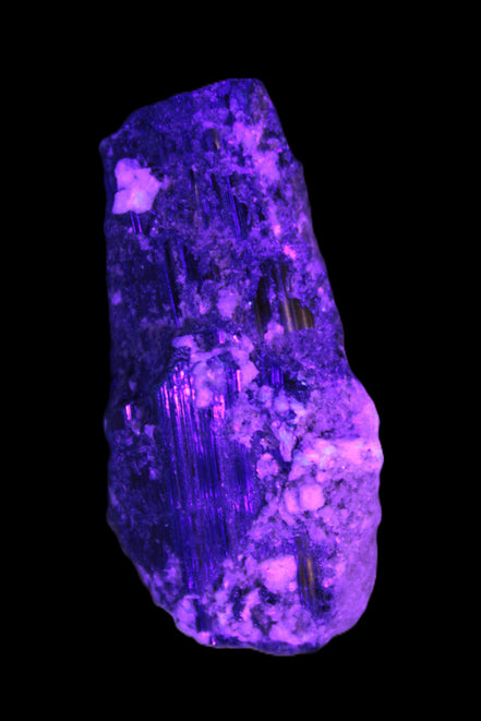 Black Tourmaline crystal with Feldspar & Mica 55mm 250.7ct  50.2g in UV light - Rocks and Things Store