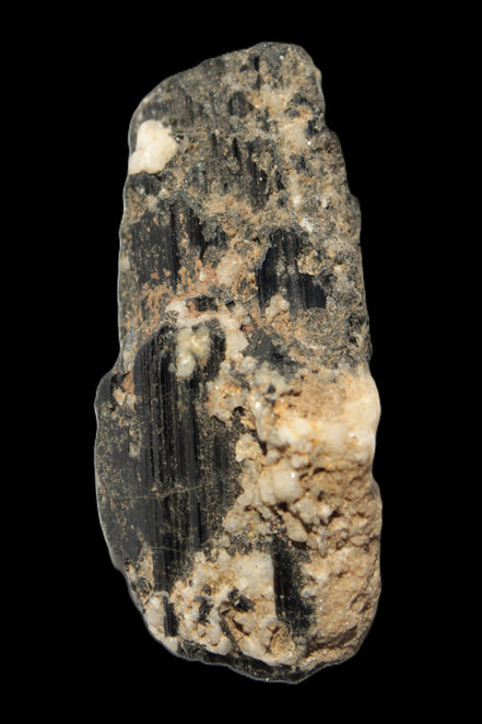 Black Tourmaline crystal with Feldspar & Mica 55mm 250.7ct  50.2g in sunlight - Rocks and Things Store