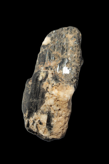 Black Tourmaline crystal with Feldspar & Mica 55mm 250.7ct  50.2g in sunlight - Rocks and Things Store