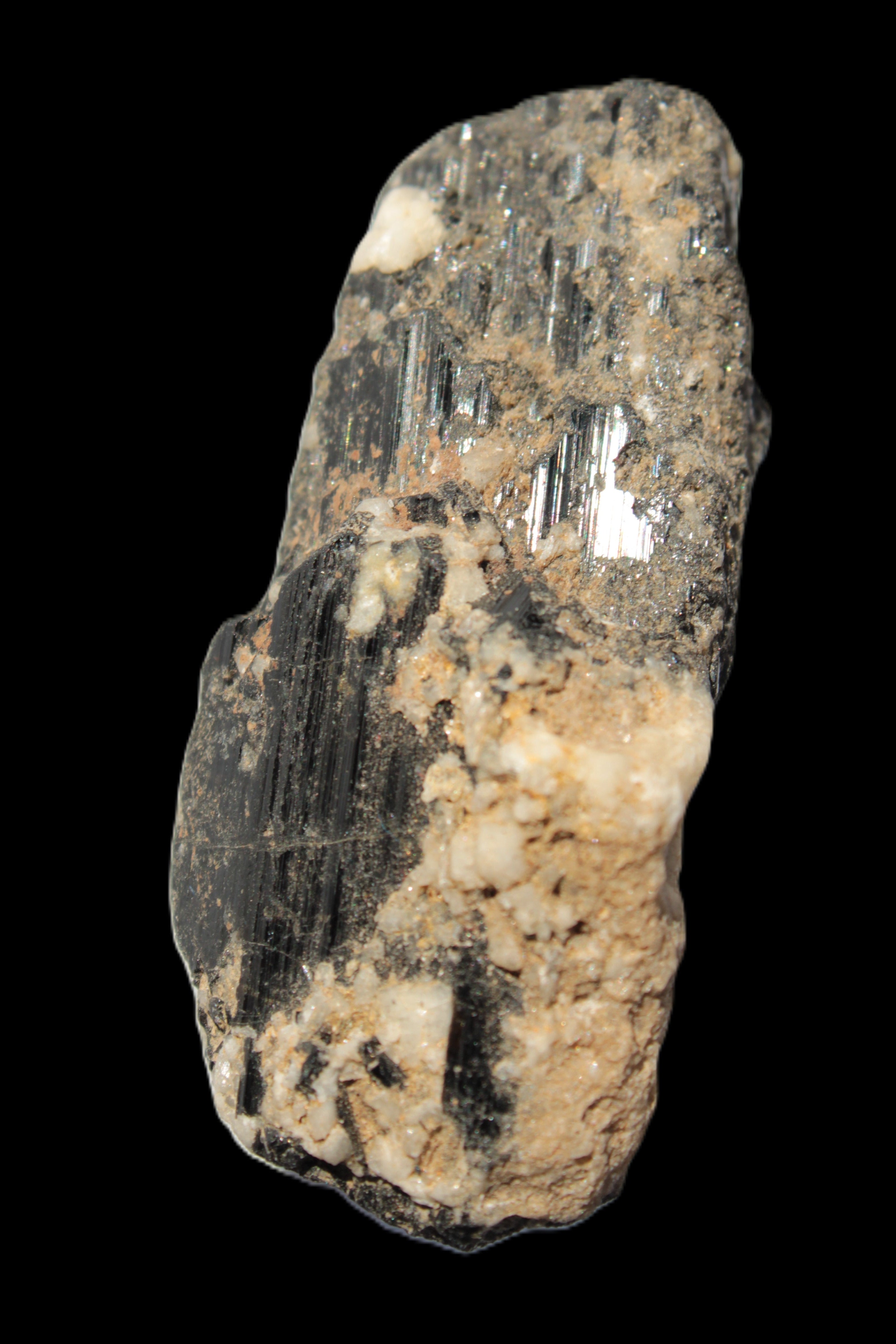 Black Tourmaline crystal with Feldspar & Mica 55mm 250.7ct  50.2g in sunlight - Rocks and Things Store