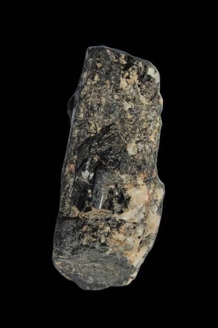 Black Tourmaline crystal with Feldspar & Mica 55mm 250.7ct  50.2g in sunlight - Rocks and Things Store