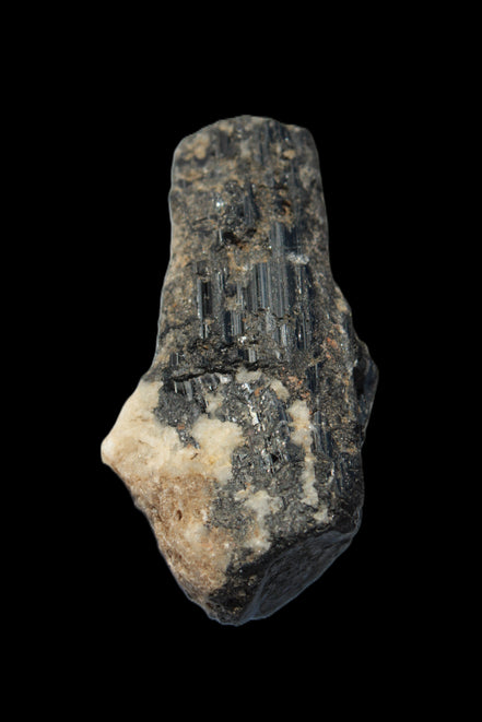 Black Tourmaline crystal with Feldspar & Mica 55mm 250.7ct  50.2g in sunlight - Rocks and Things Store