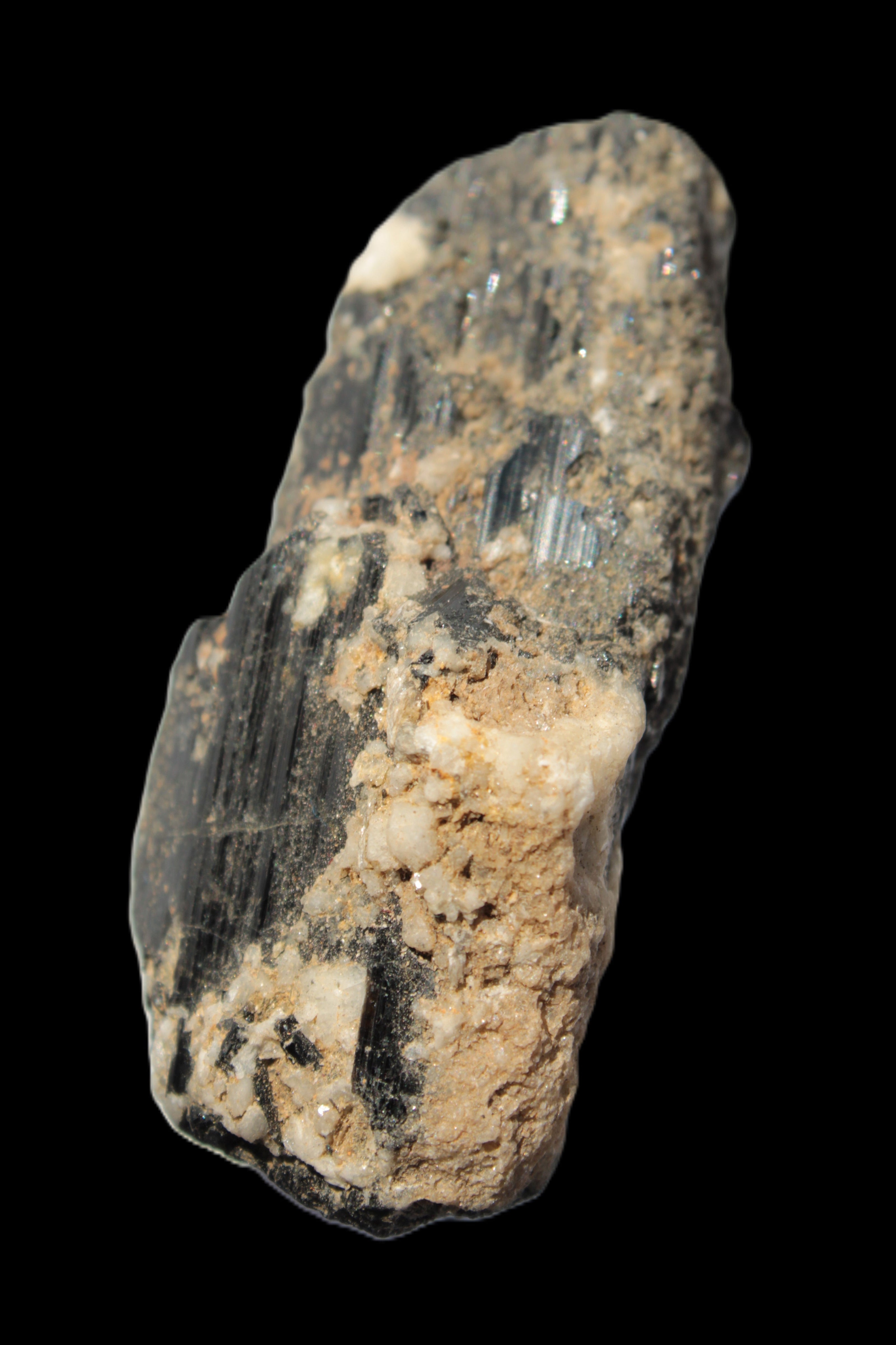 Black Tourmaline crystal with Feldspar & Mica 55mm 250.7ct  50.2g in sunlight - Rocks and Things Store