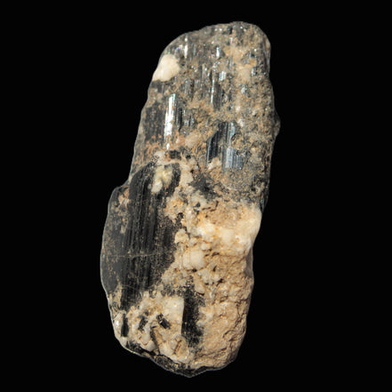 Black Tourmaline crystal with Feldspar & Mica 55mm 250.7ct  50.2g in sunlight - Rocks and Things Store