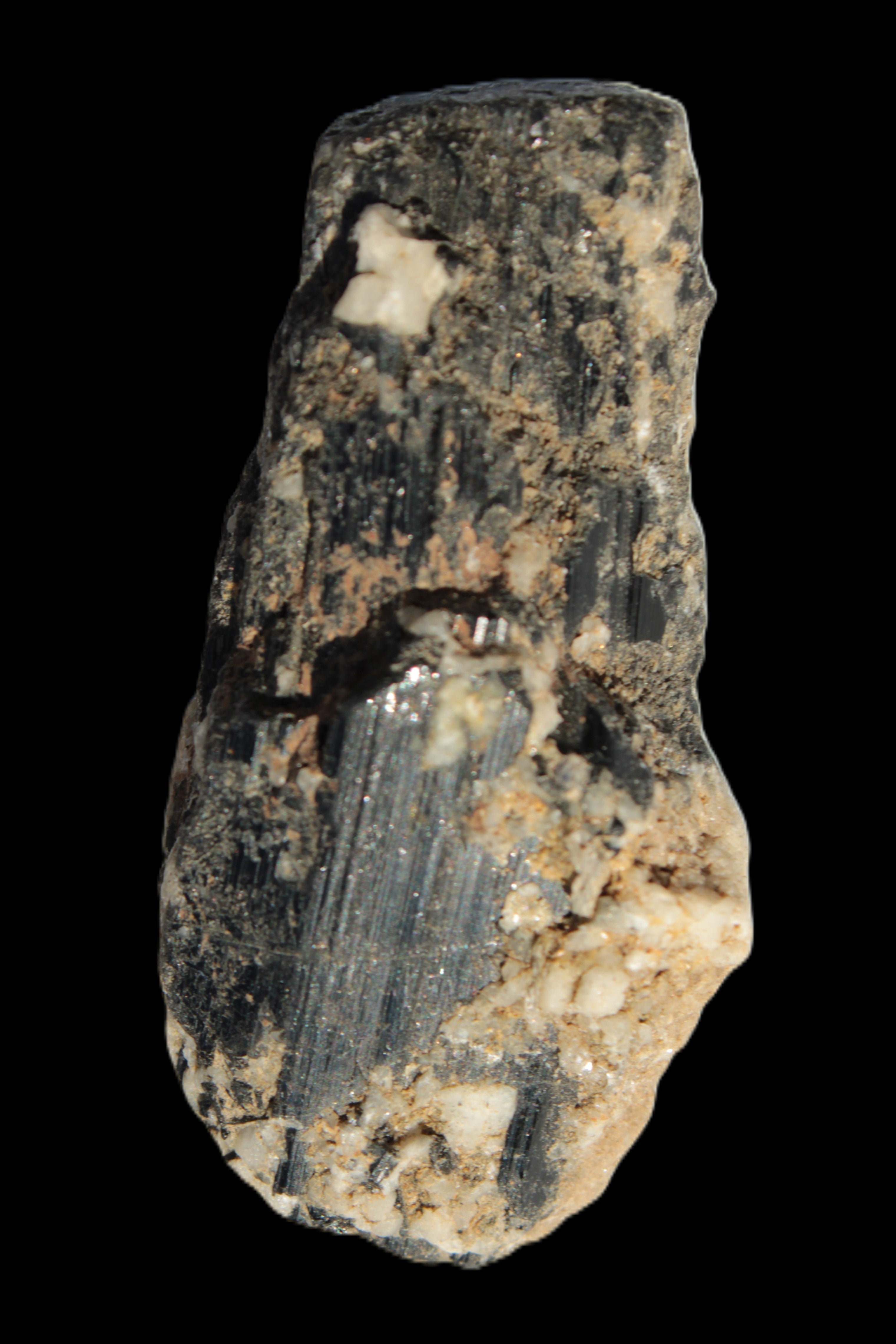 Black Tourmaline crystal with Feldspar & Mica 55mm 250.7ct  50.2g in sunlight - Rocks and Things Store