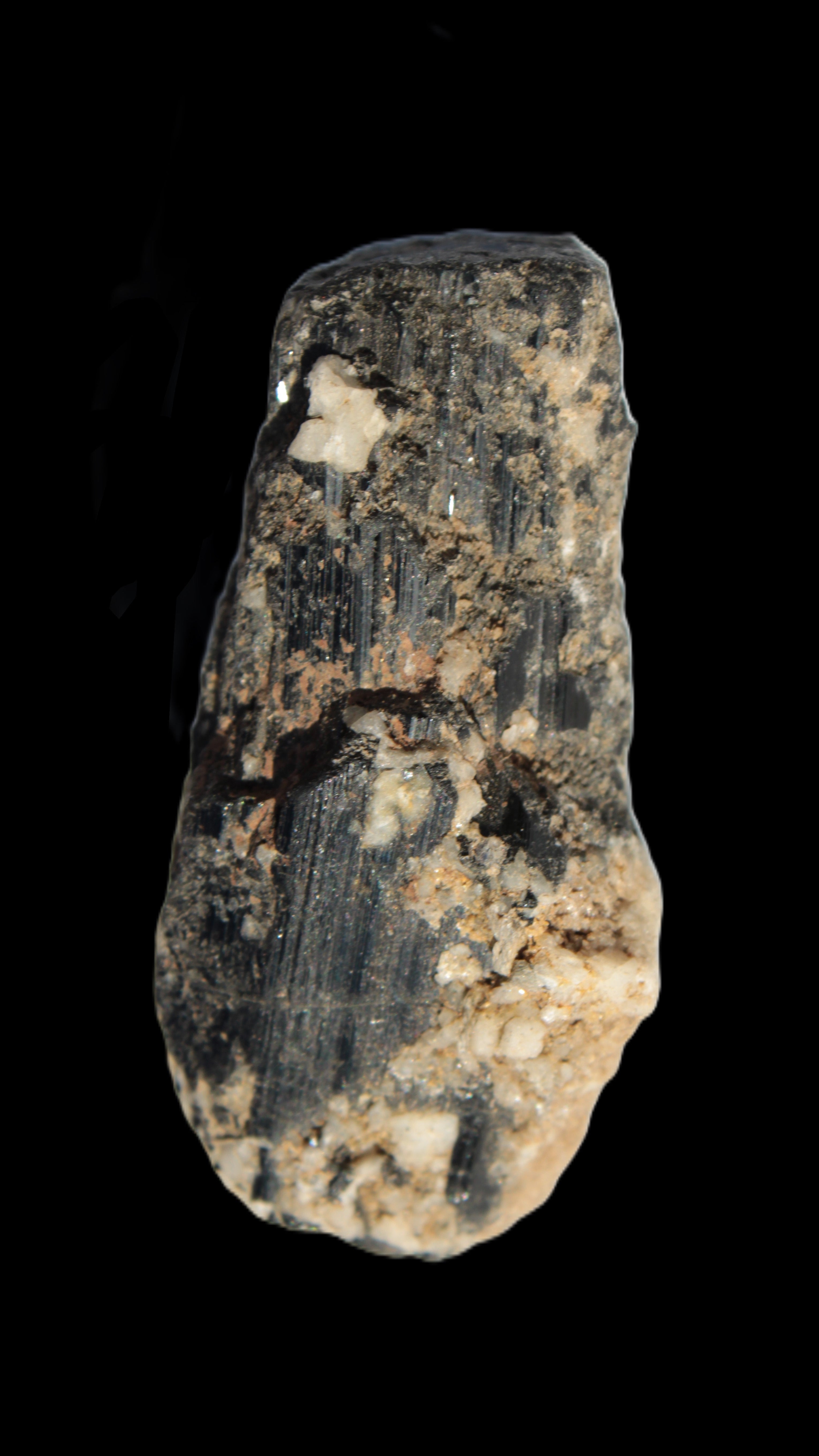 Black Tourmaline crystal with Feldspar & Mica 55mm 250.7ct  50.2g in sunlight - Rocks and Things Store