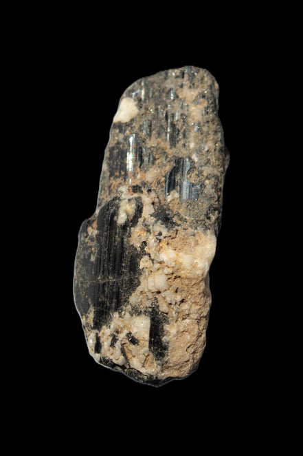 Black Tourmaline crystal with Feldspar & Mica 55mm 250.7ct  50.2g in sunlight - Rocks and Things Store