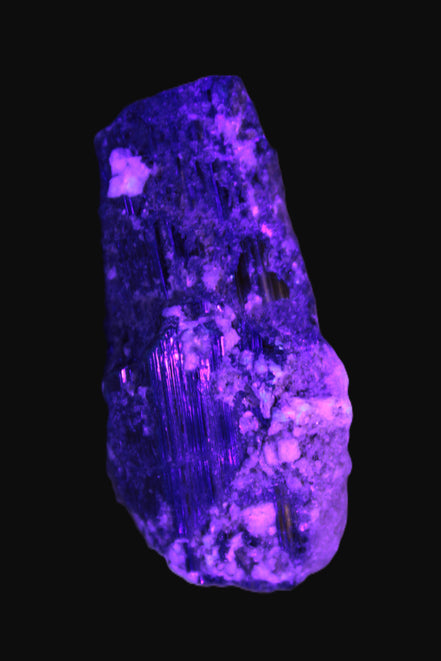 Black Tourmaline crystal with Feldspar & Mica 55mm 250.7ct  50.2g in UV light - Rocks and Things Store