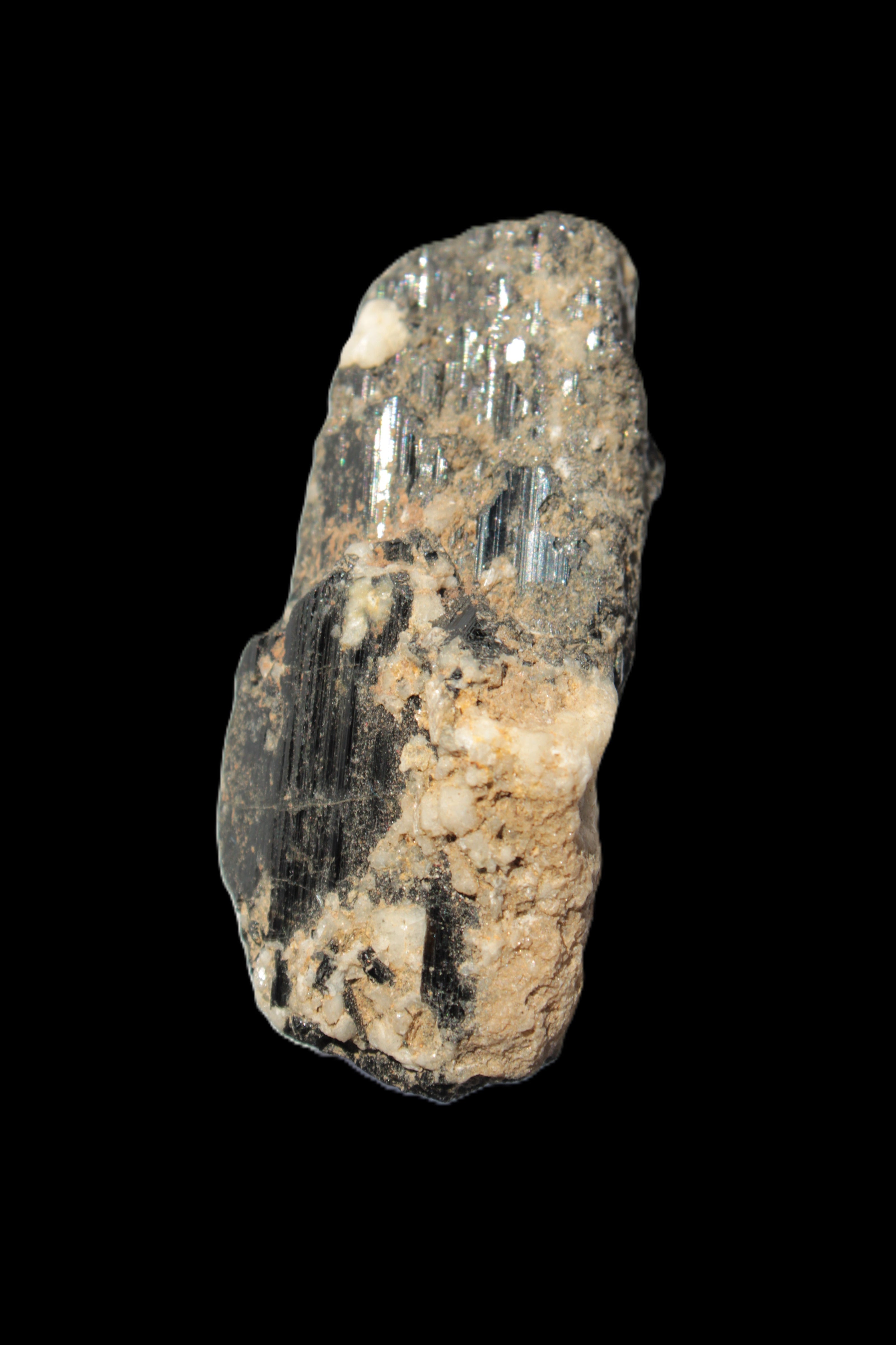 Black Tourmaline crystal with Feldspar & Mica 55mm 250.7ct  50.2g in sunlight - Rocks and Things Store