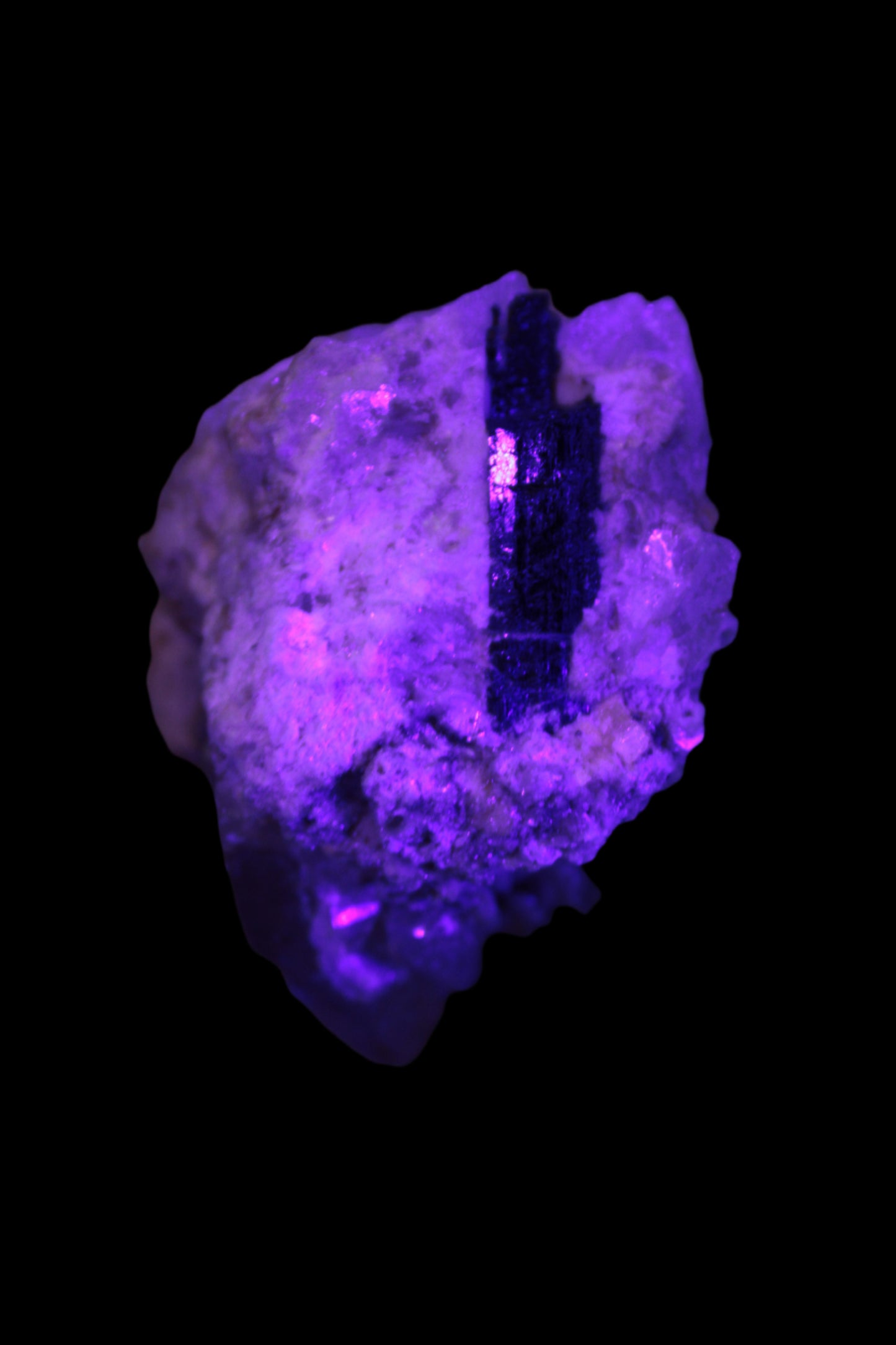 Elestial double-terminated Quartz with Aquamarine, Elbaite & Kunzite crystals on matrix 70mm 845ct 169g in UV light - Rocks and Things Store
