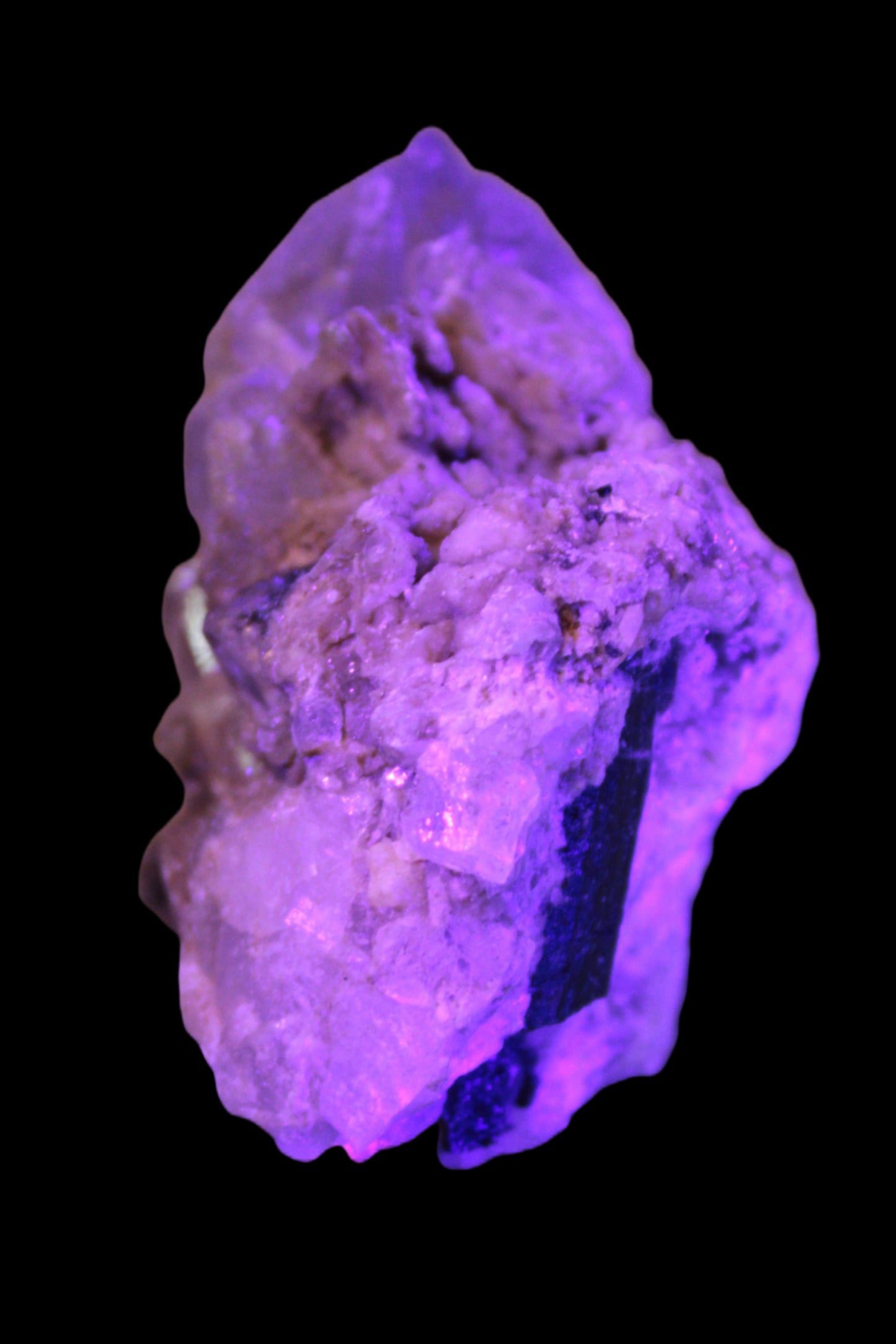 Elestial double-terminated Quartz with Aquamarine, Elbaite & Kunzite crystals on matrix 70mm 845ct 169g in UV light - Rocks and Things Store