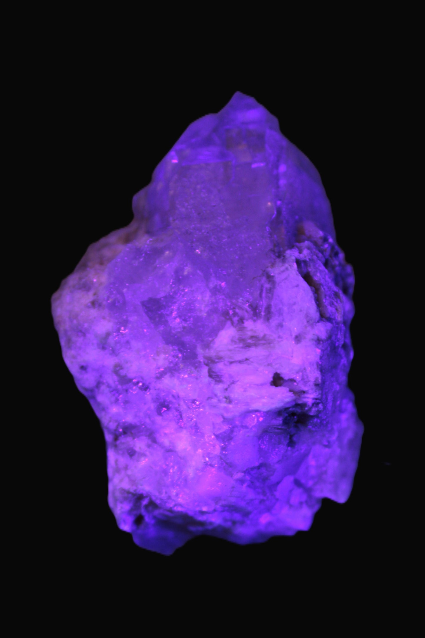 Elestial double-terminated Quartz with Aquamarine, Elbaite & Kunzite crystals on matrix 70mm 845ct 169g in UV light - Rocks and Things Store