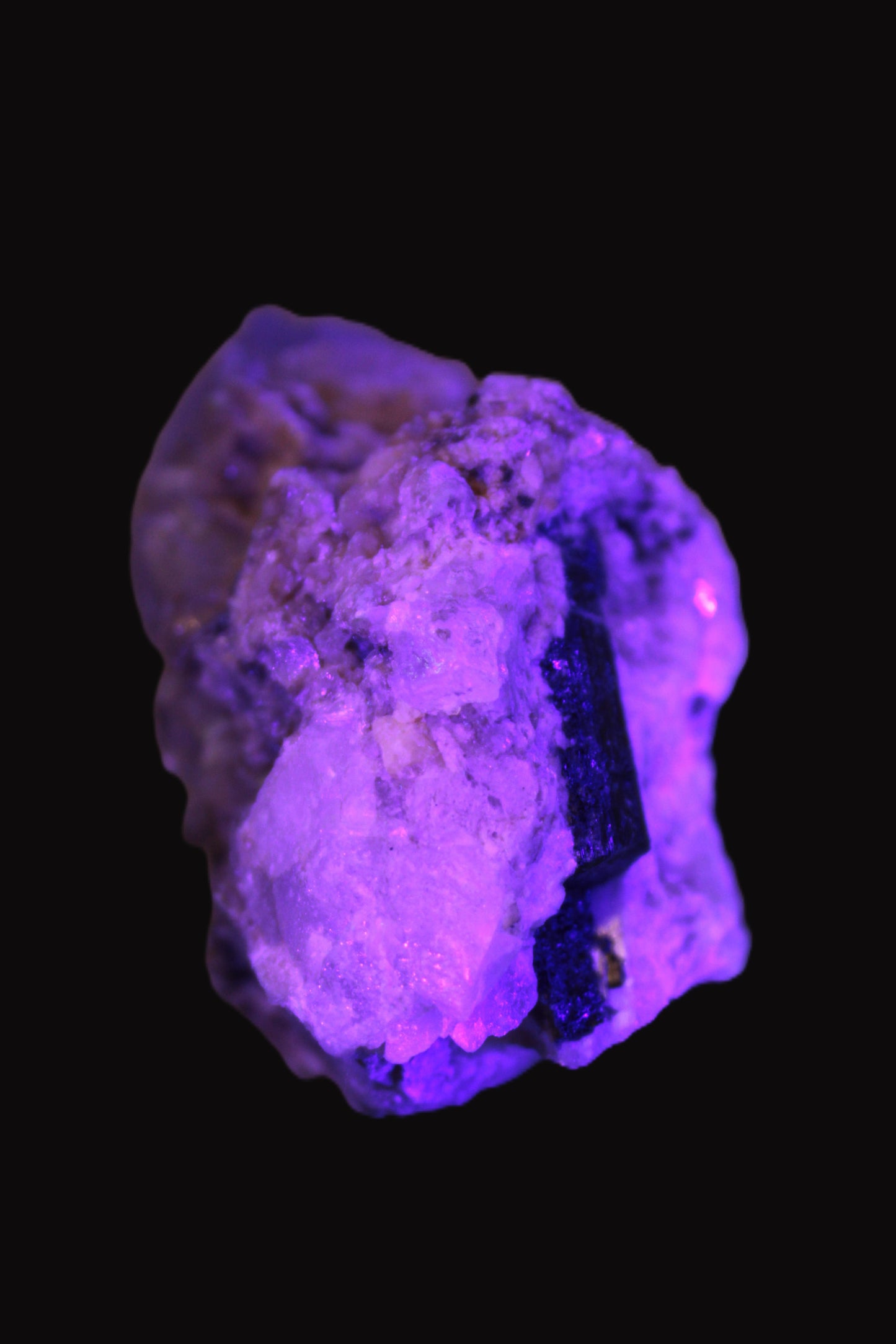 Elestial double-terminated Quartz with Aquamarine, Elbaite & Kunzite crystals on matrix 70mm 845ct 169g in UV light - Rocks and Things Store
