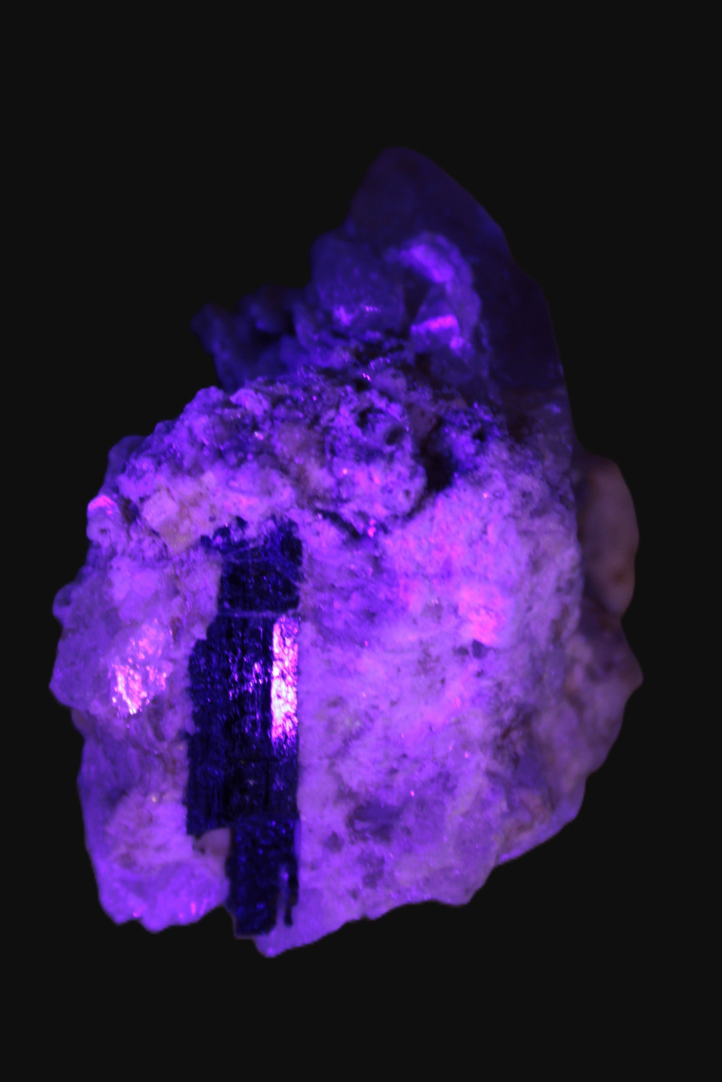 Elestial double-terminated Quartz with Aquamarine, Elbaite & Kunzite crystals on matrix 70mm 845ct 169g in UV light - Rocks and Things Store