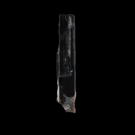 Small long Rainbow Black Tourmaline  crystal 25mm 6.2ct 1.2g in sunlight - Rocks and Things Store