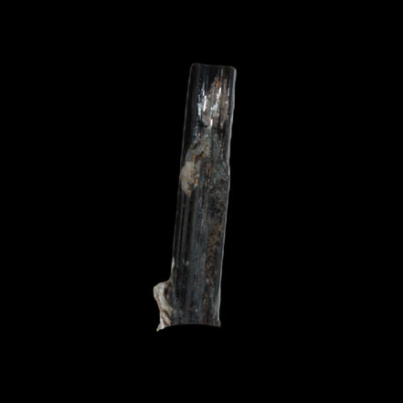 Small long Rainbow Black Tourmaline  crystal 25mm 6.2ct 1.2g in sunlight - Rocks and Things Store