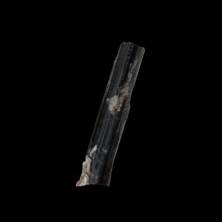 Small long Rainbow Black Tourmaline  crystal 25mm 6.2ct 1.2g in sunlight - Rocks and Things Store