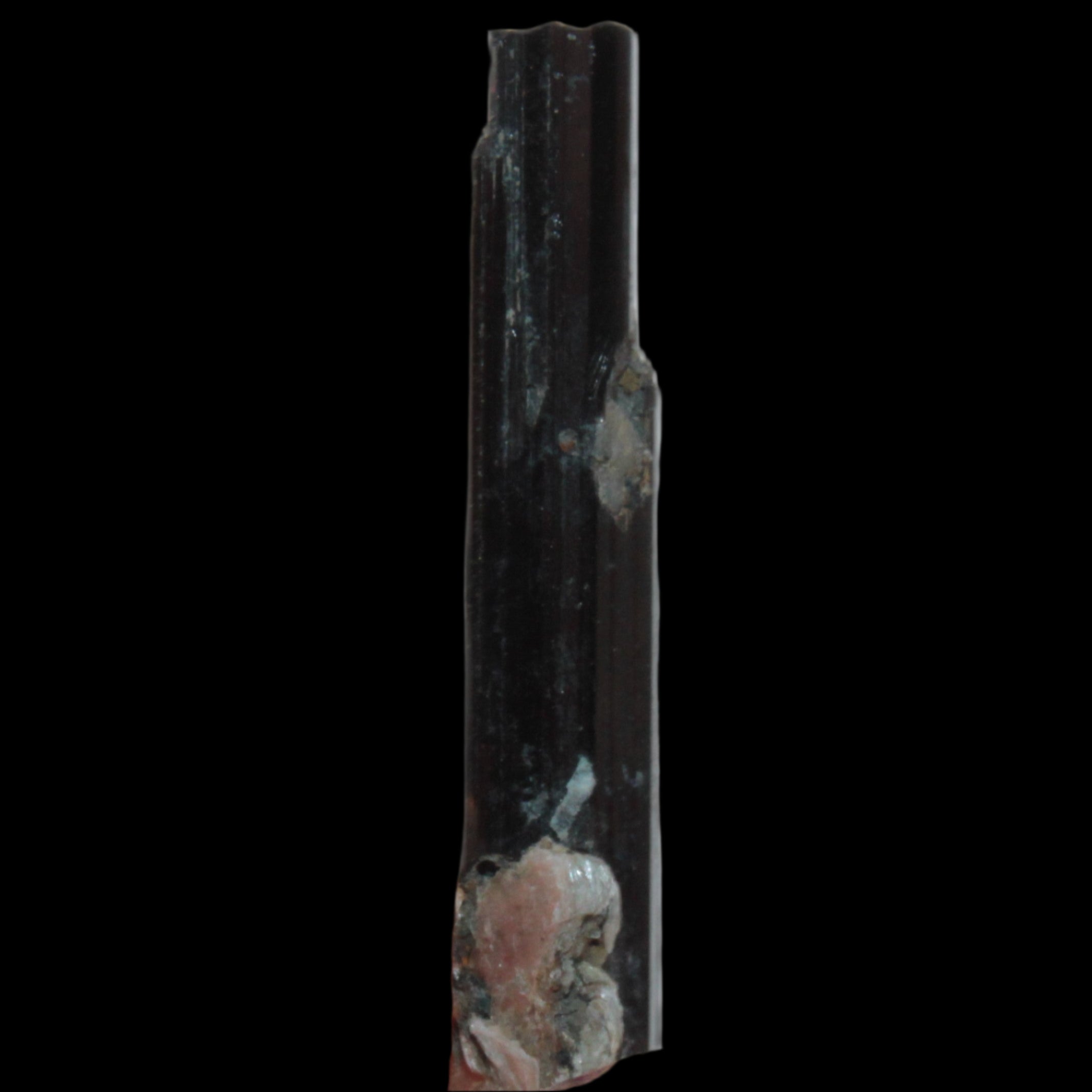 Small long Rainbow Black Tourmaline  crystal 25mm 6.2ct 1.2g in sunlight - Rocks and Things Store