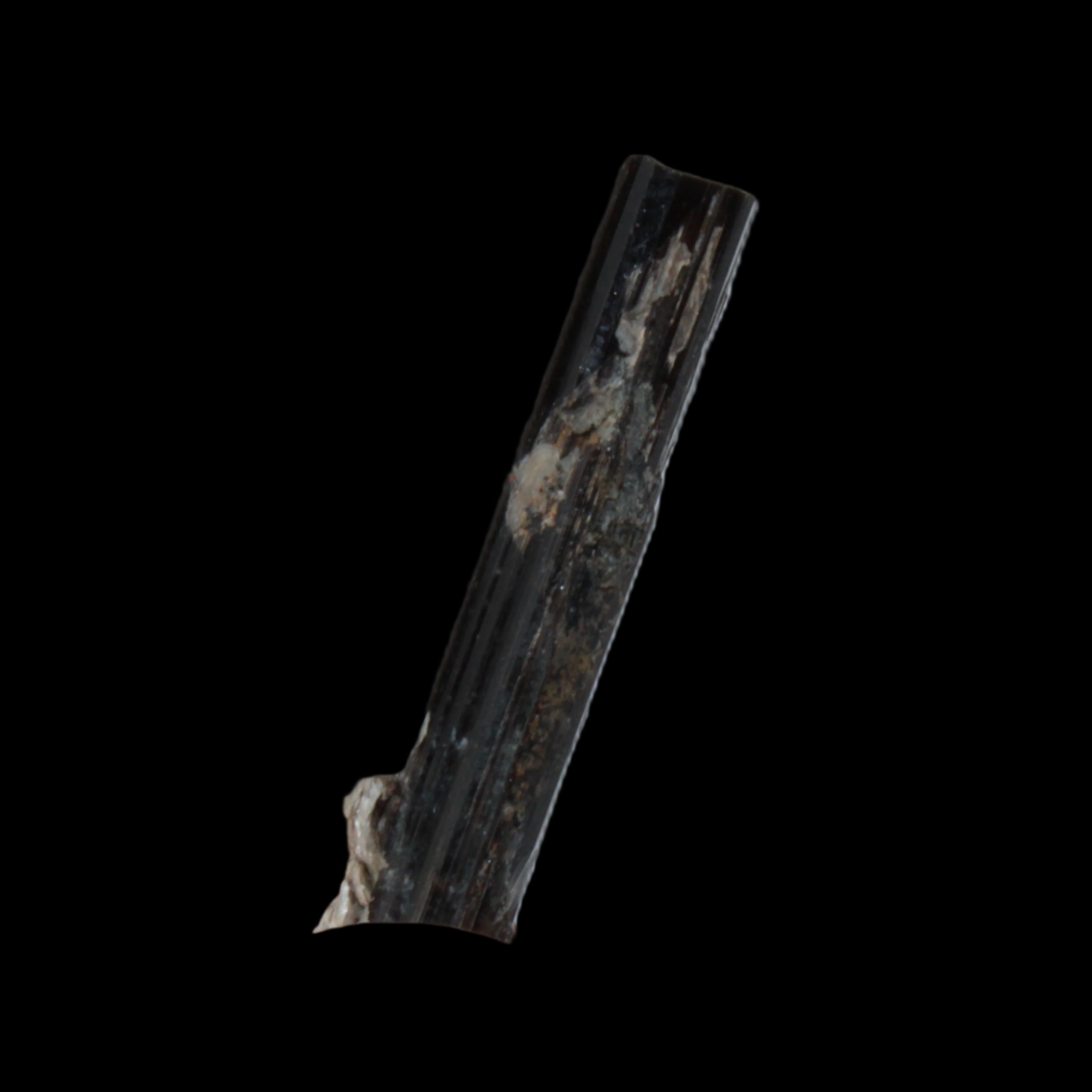 Small long Rainbow Black Tourmaline  crystal 25mm 6.2ct 1.2g in sunlight - Rocks and Things Store