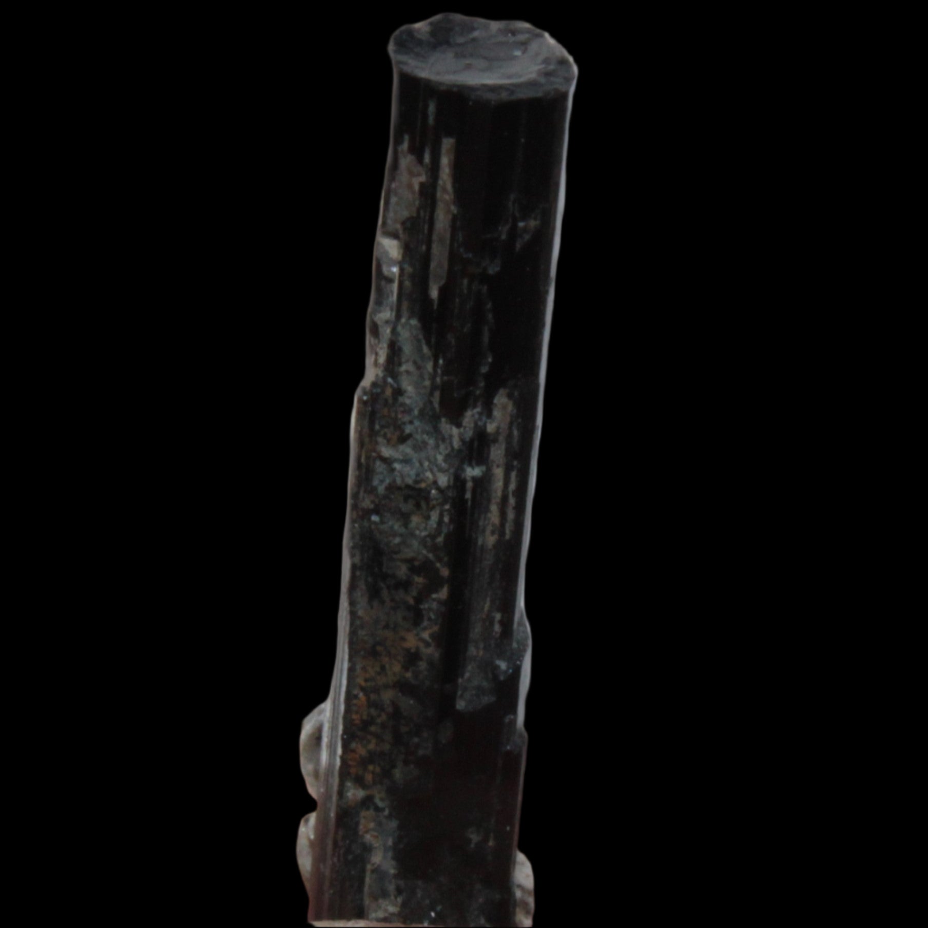 Small long Rainbow Black Tourmaline  crystal 25mm 6.2ct 1.2g in sunlight - Rocks and Things Store