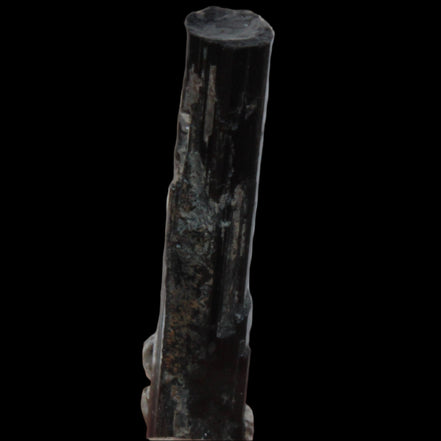 Small long Rainbow Black Tourmaline  crystal 25mm 6.2ct 1.2g in sunlight - Rocks and Things Store
