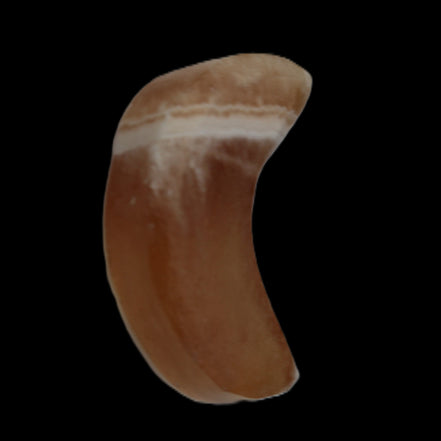Banded Honey Calcite Crescent Moon 30mm 8.8-10.4g in sunshine - Rocks and Things Store