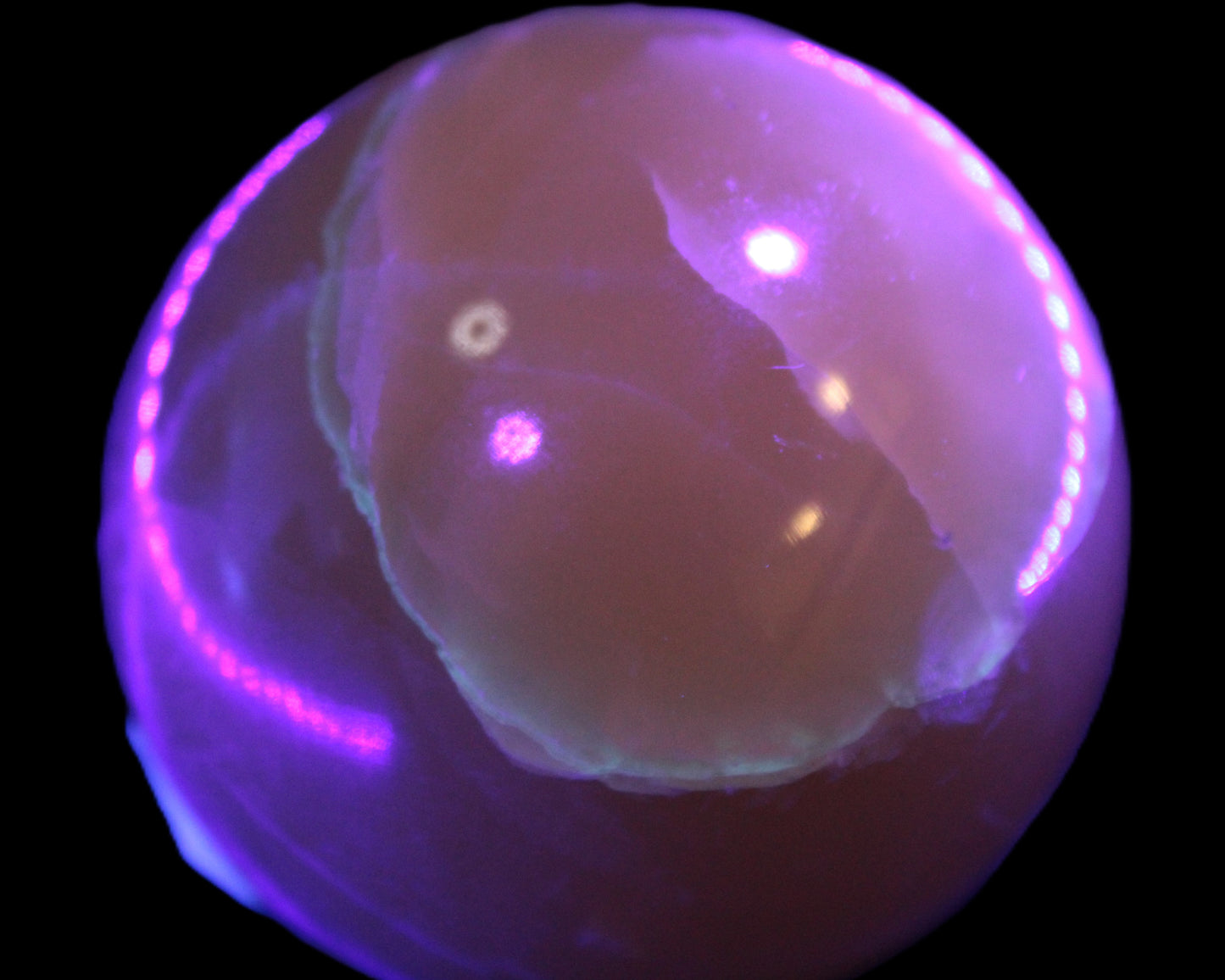Topaz Honey Calcite sphere 63mm 341g Rocks and Things