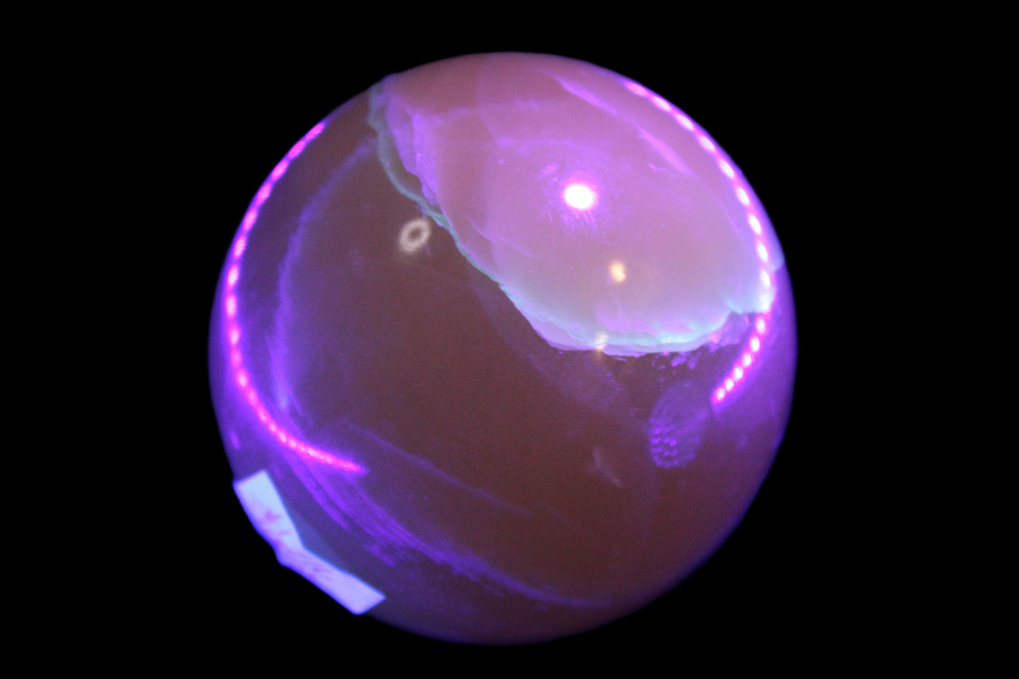 Topaz Honey Calcite sphere 63mm 341g Rocks and Things
