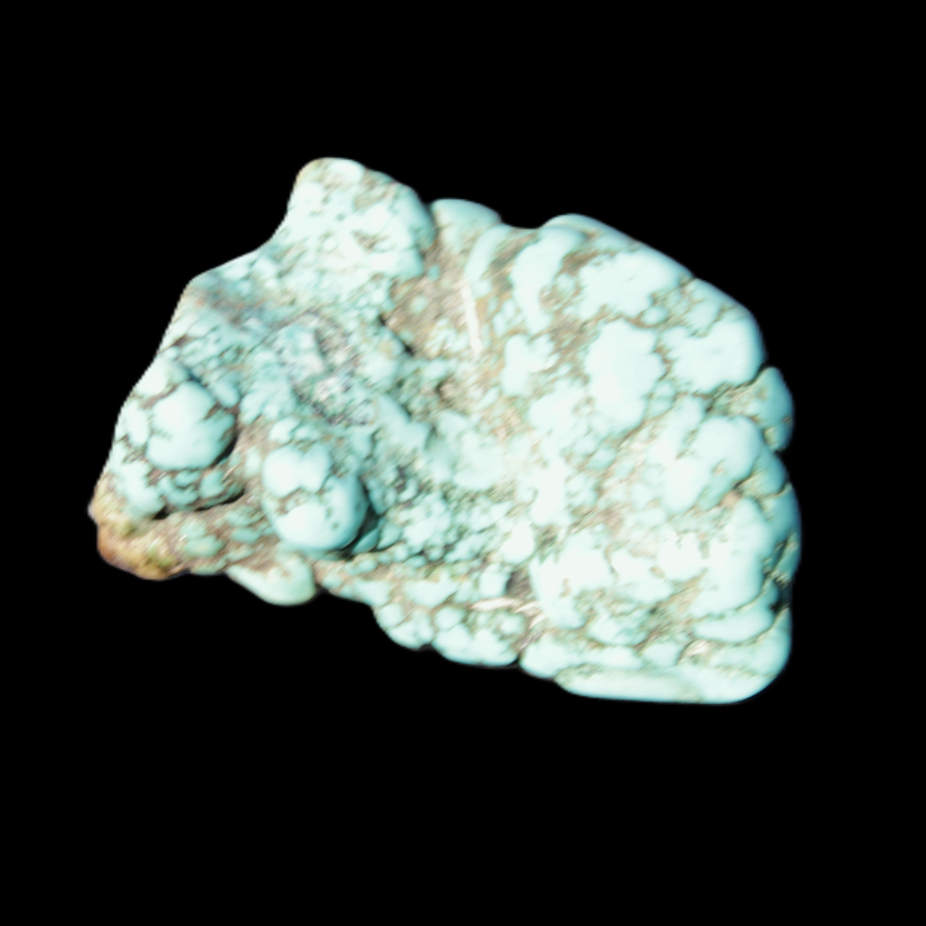 Persian Turquoise 32*42mm 52.3g in sunlight - Rocks and Things Store