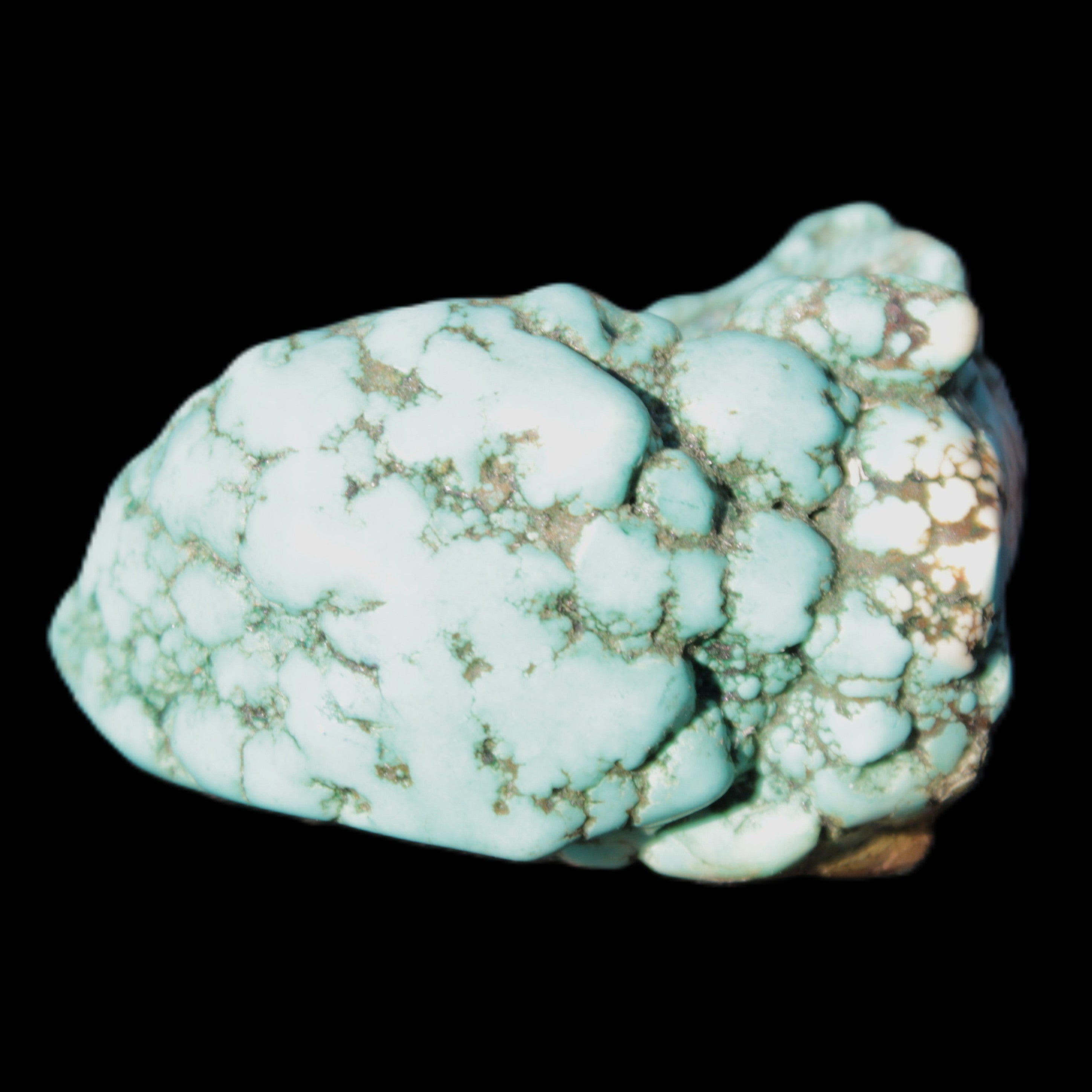 Persian Turquoise 32*42mm 52.3g in sunlight - Rocks and Things Store