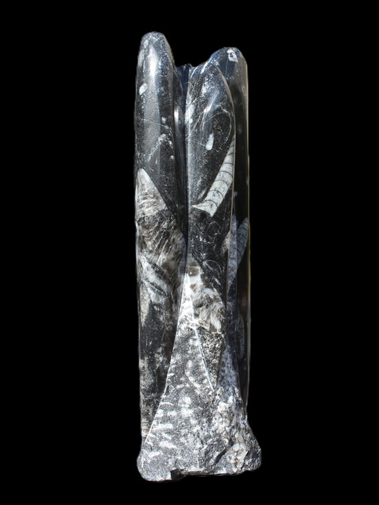 Orthoceras fossil tower 1279g Rocks and Things