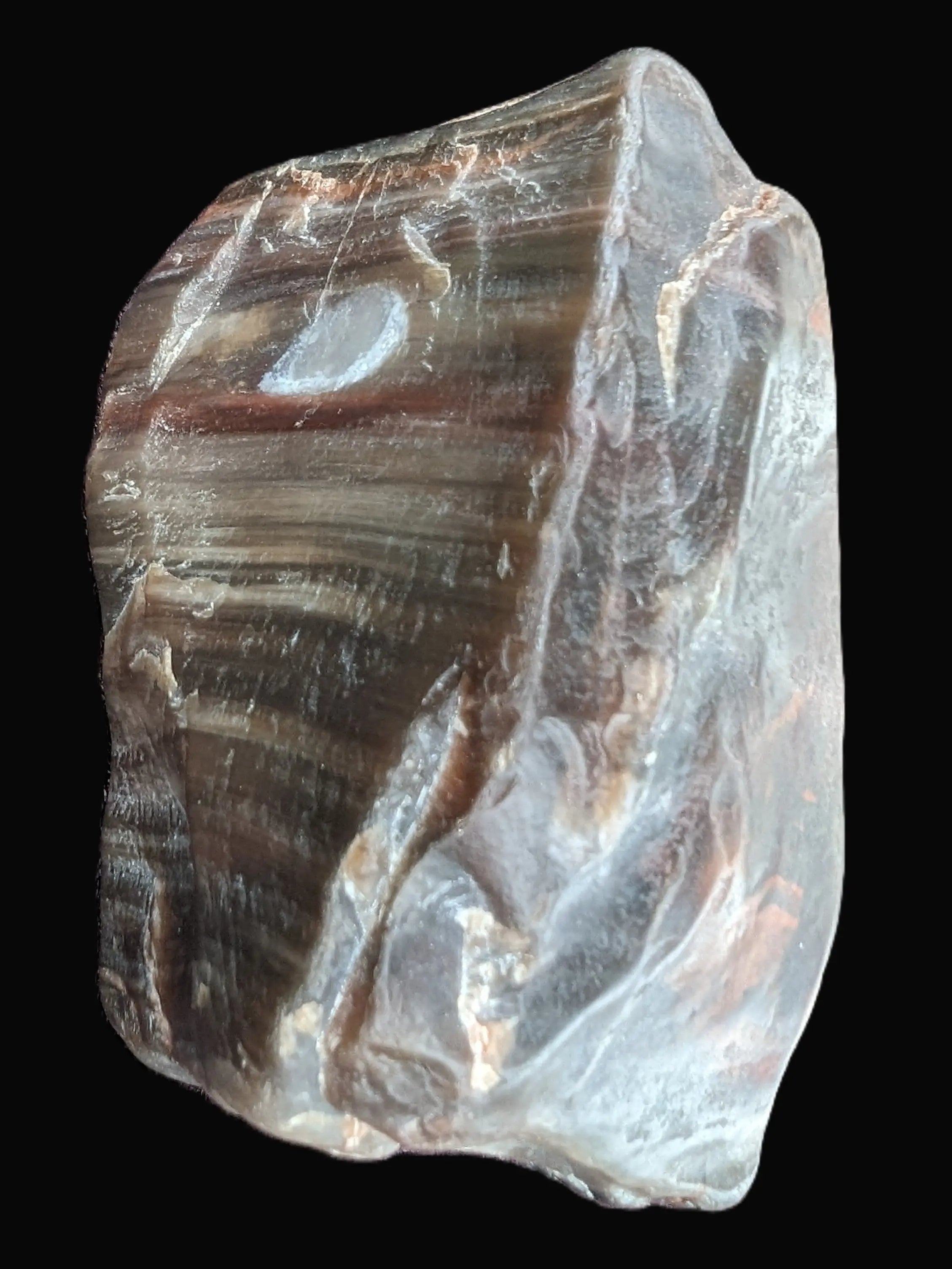 Petrified Wood from Xinjiang China 207g in sunshine - Rocks and Things Store