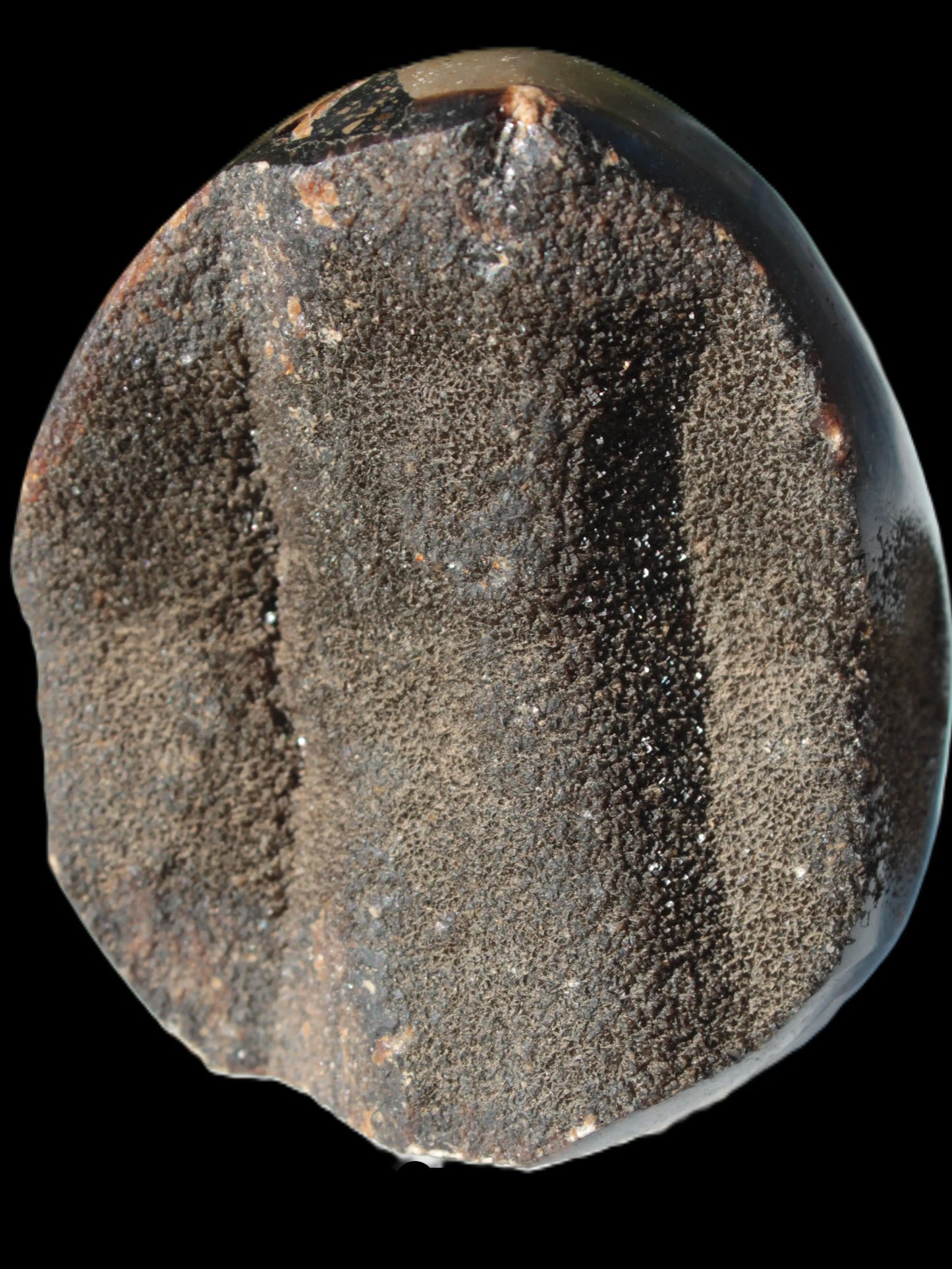 Septarian Dragon Stone egg 330g Rocks and Things