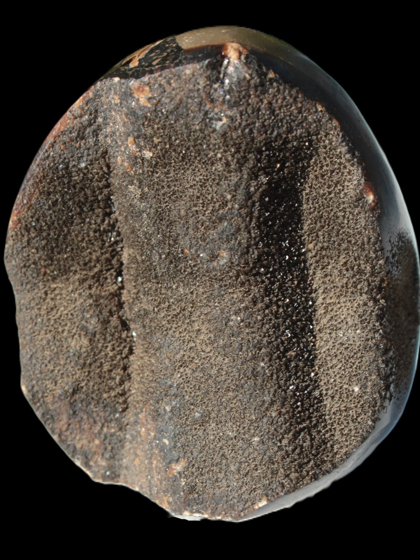 Septarian Dragon Stone egg 330g Rocks and Things