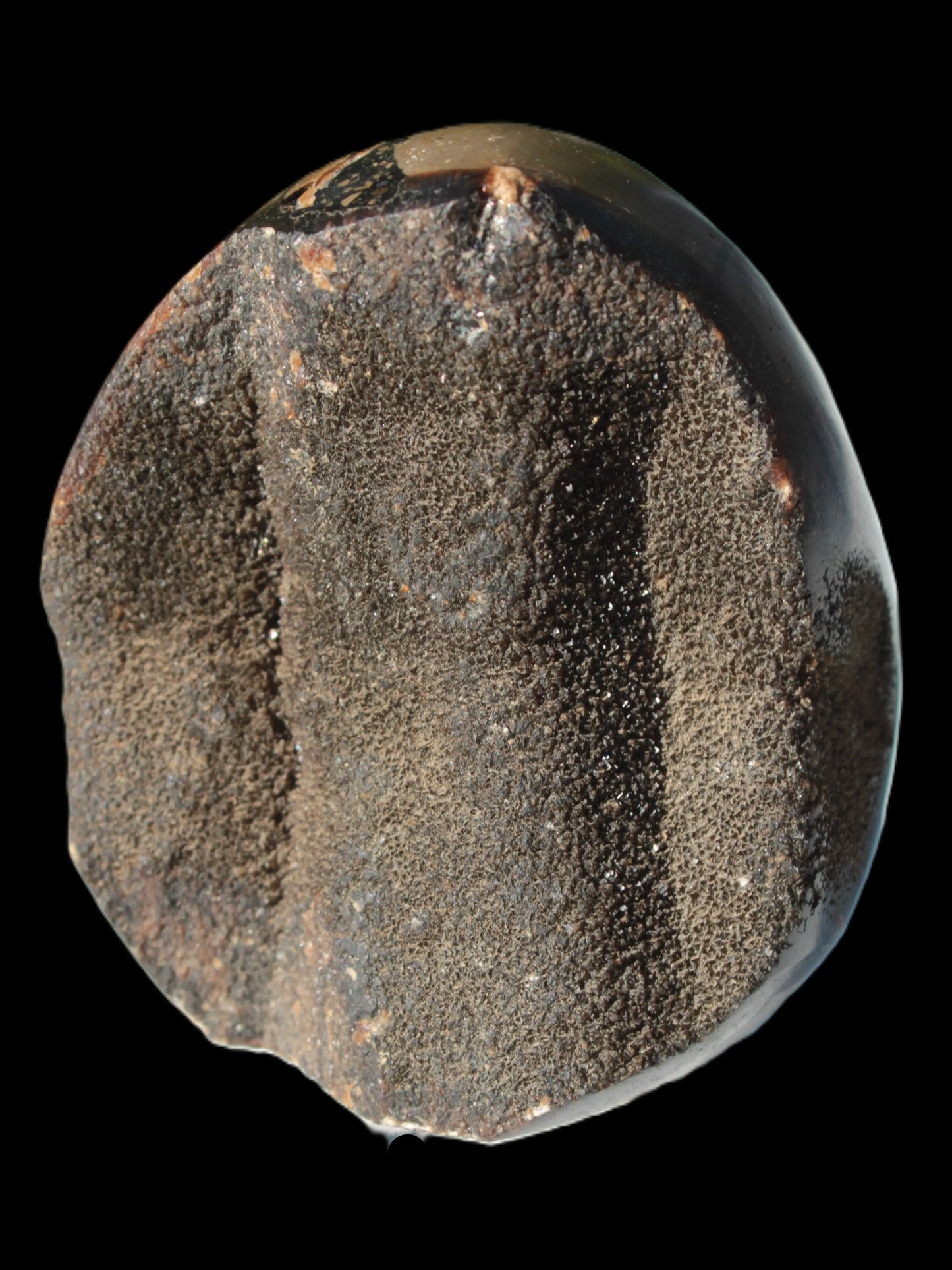 Septarian Dragon Stone egg 330g Rocks and Things