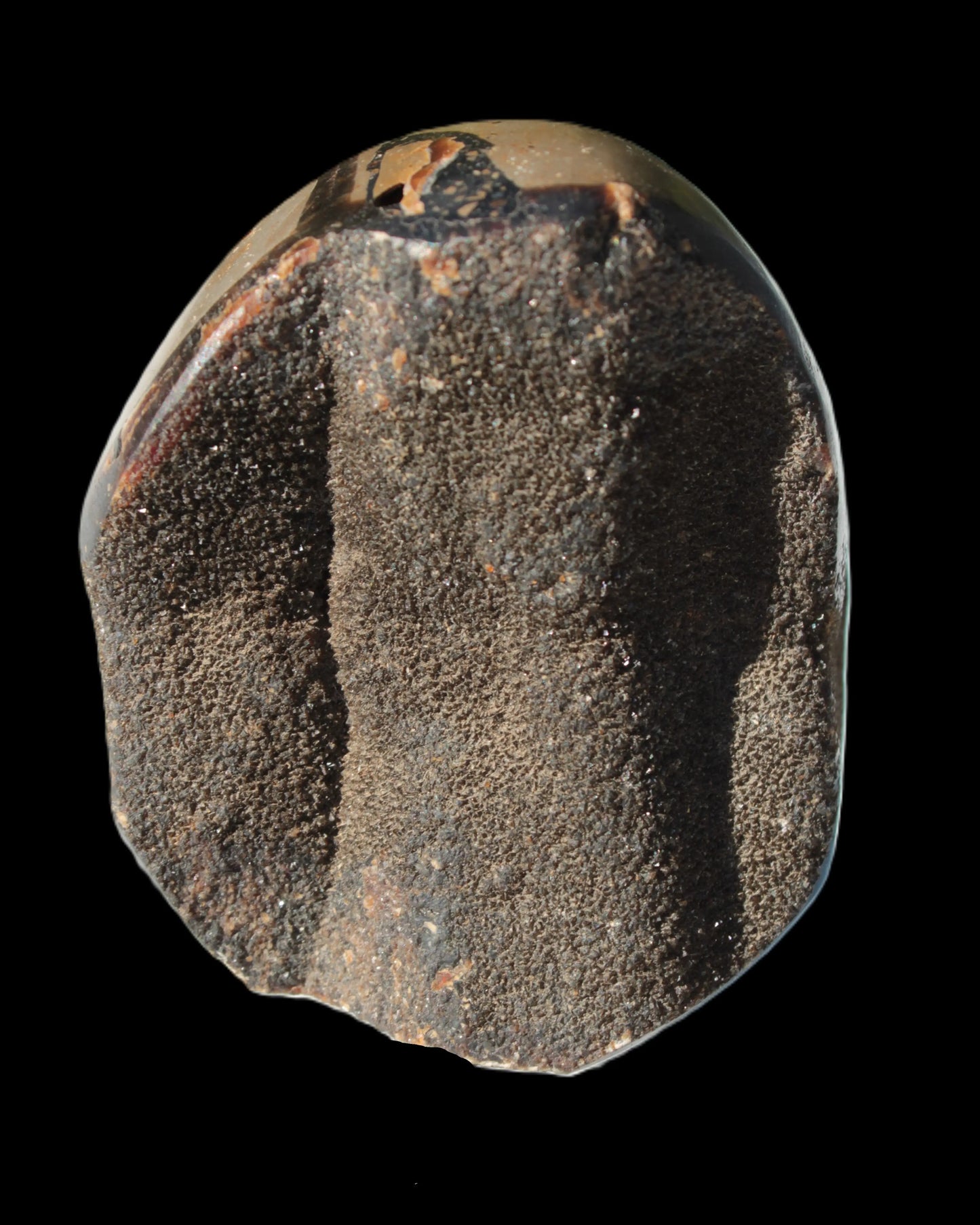 Septarian Dragon Stone egg 330g Rocks and Things