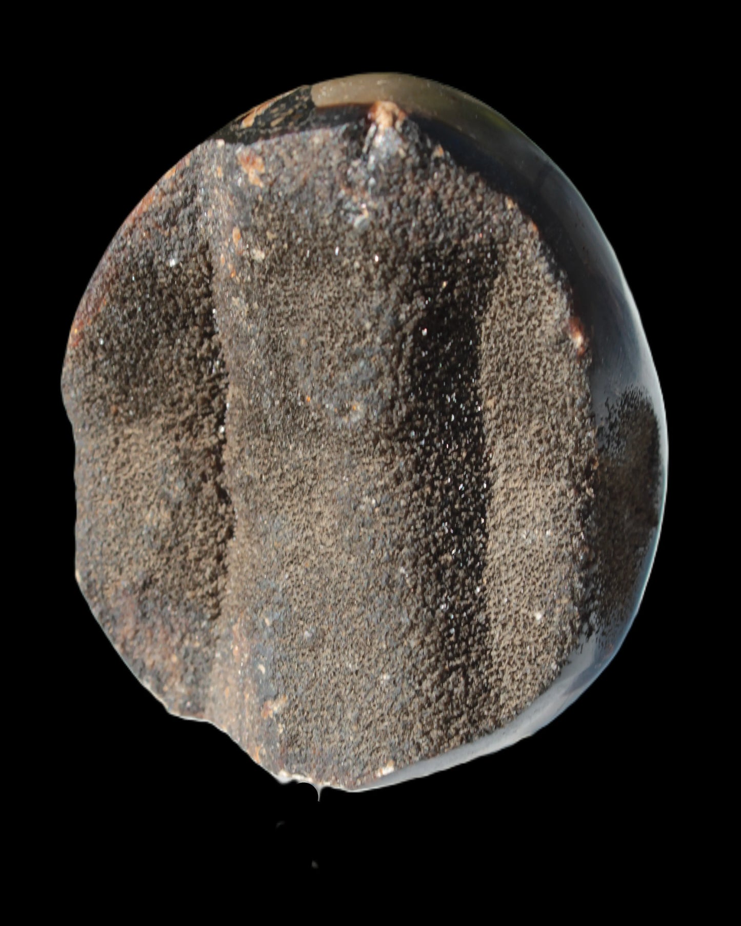 Septarian Dragon Stone egg 330g Rocks and Things