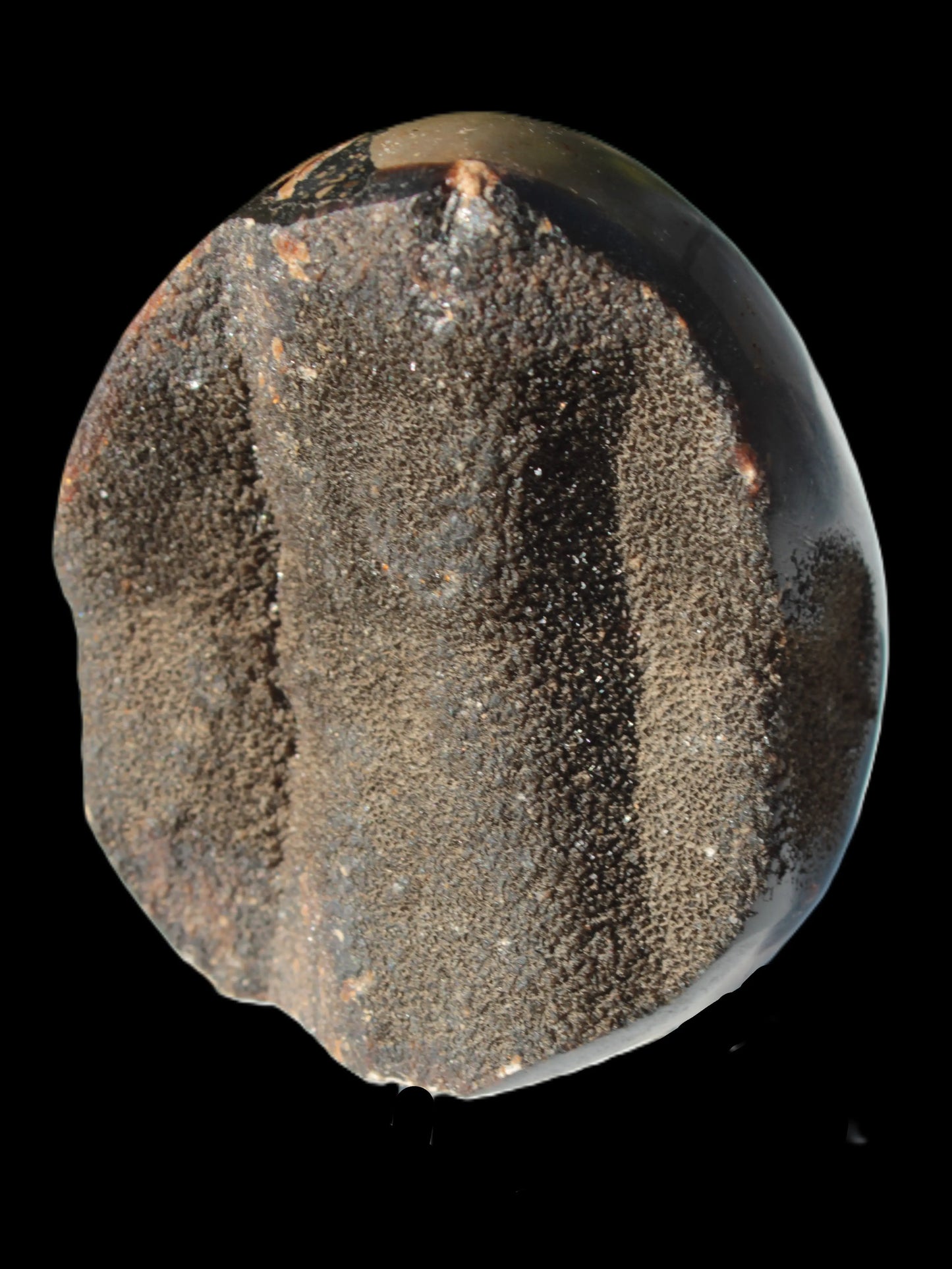 Septarian Dragon Stone egg 330g Rocks and Things