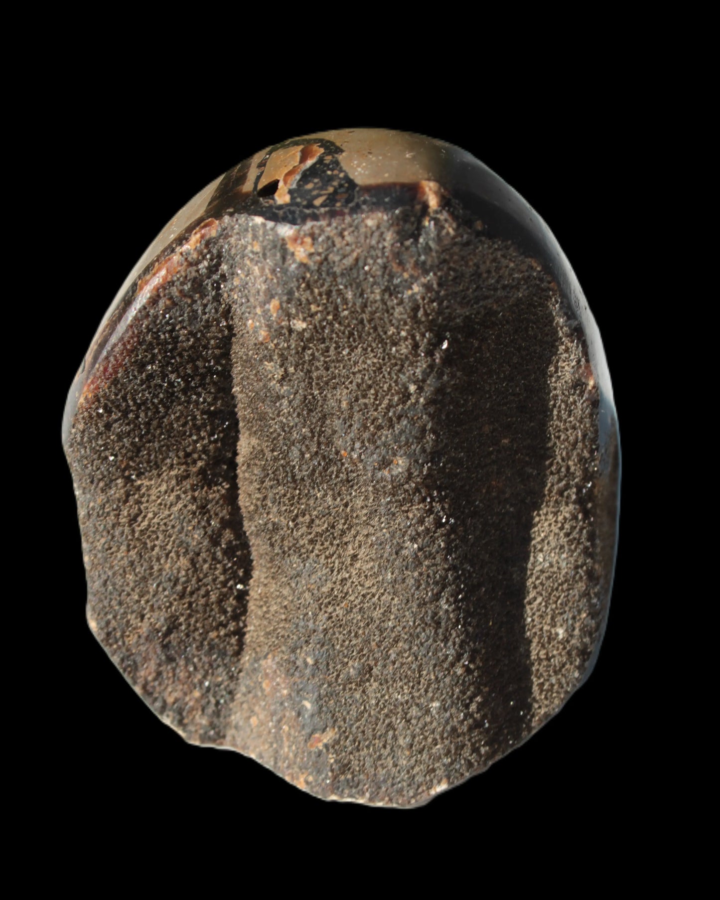 Septarian Dragon Stone egg 330g Rocks and Things