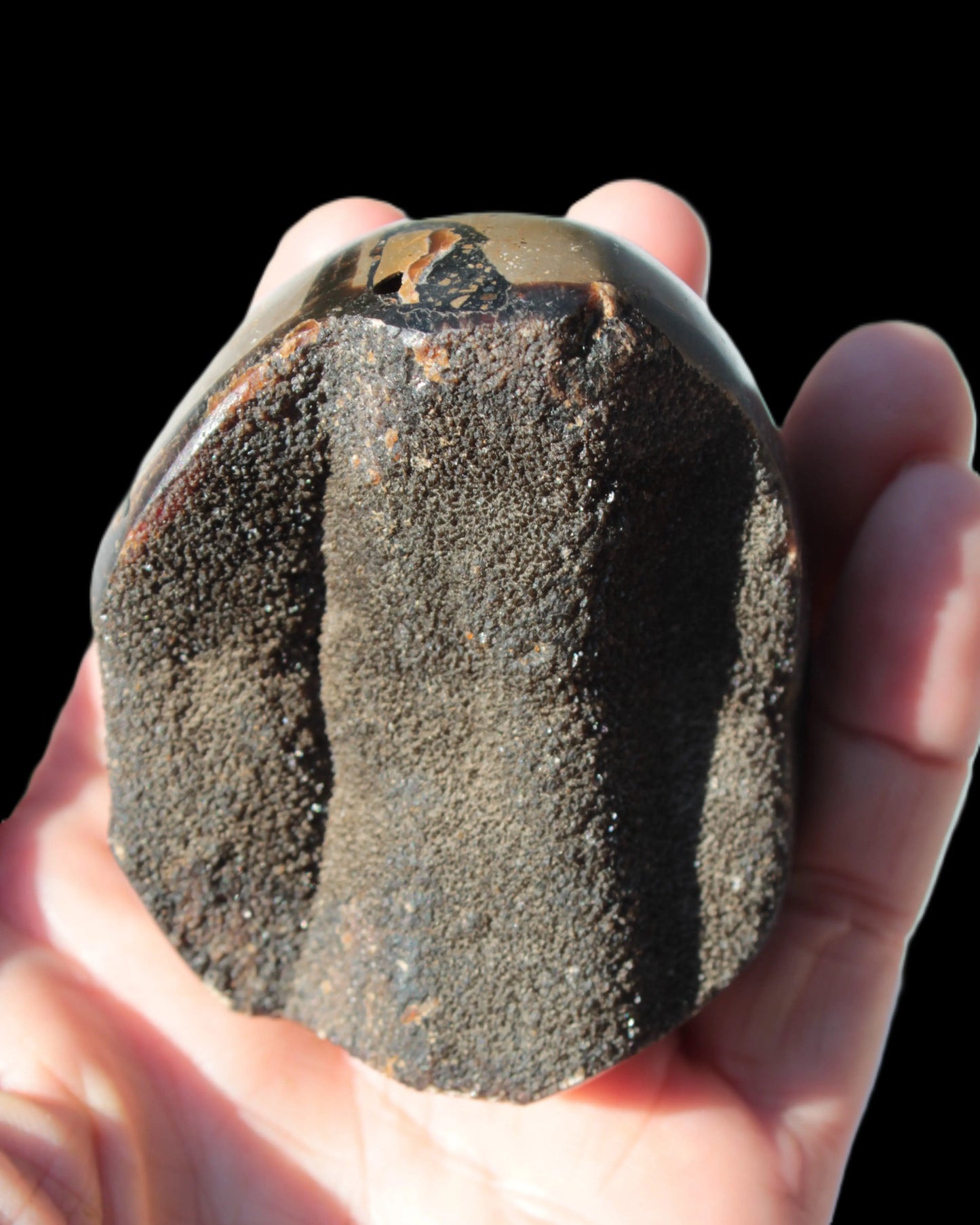 Septarian Dragon Stone egg 330g Rocks and Things