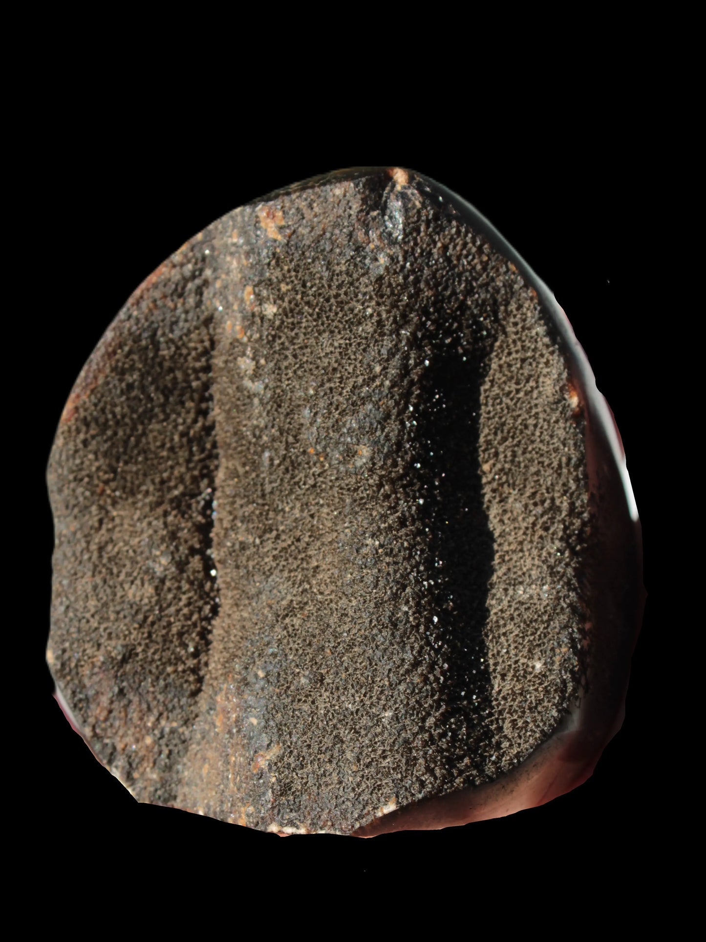 Septarian Dragon Stone egg 330g Rocks and Things