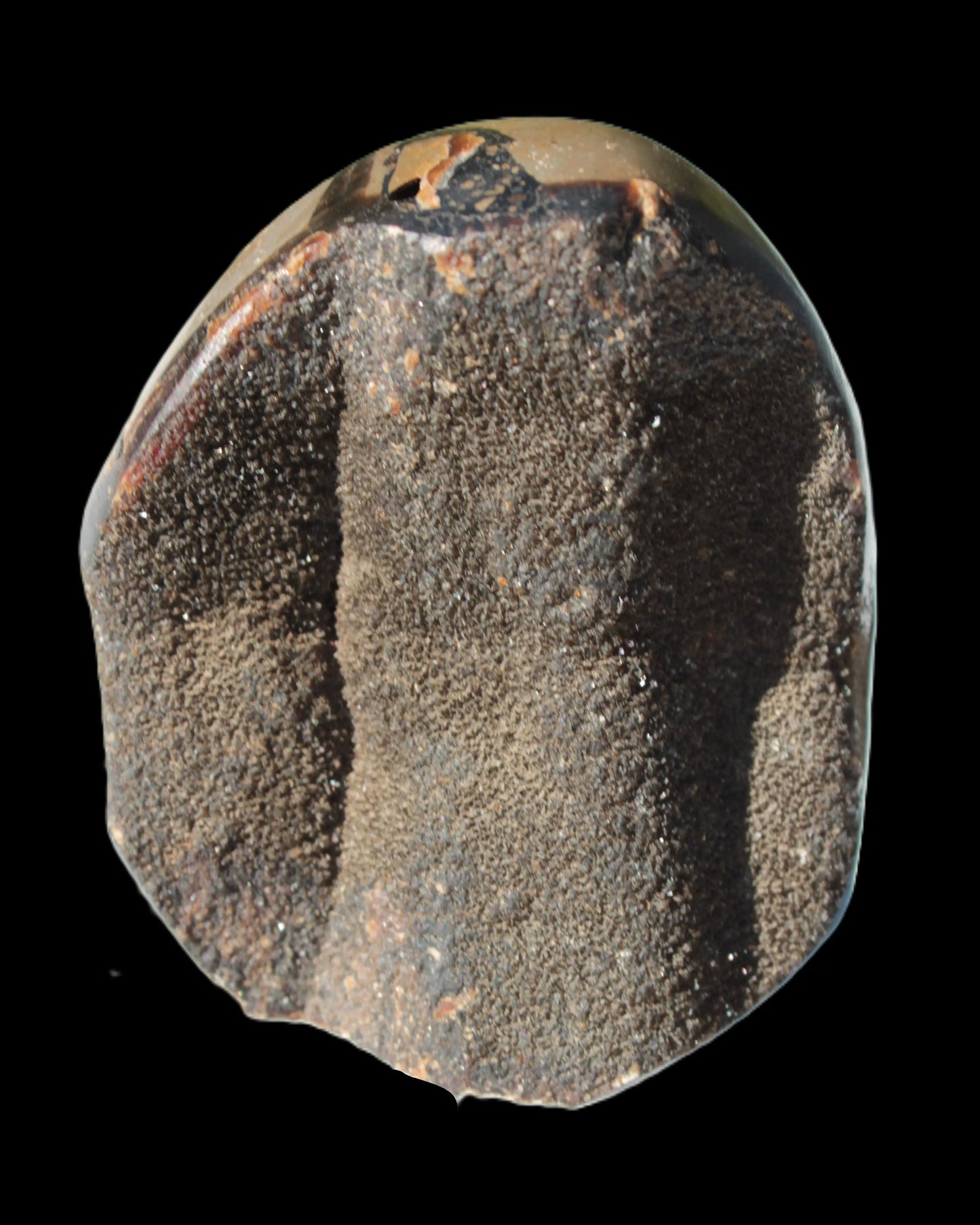 Septarian Dragon Stone egg 330g Rocks and Things