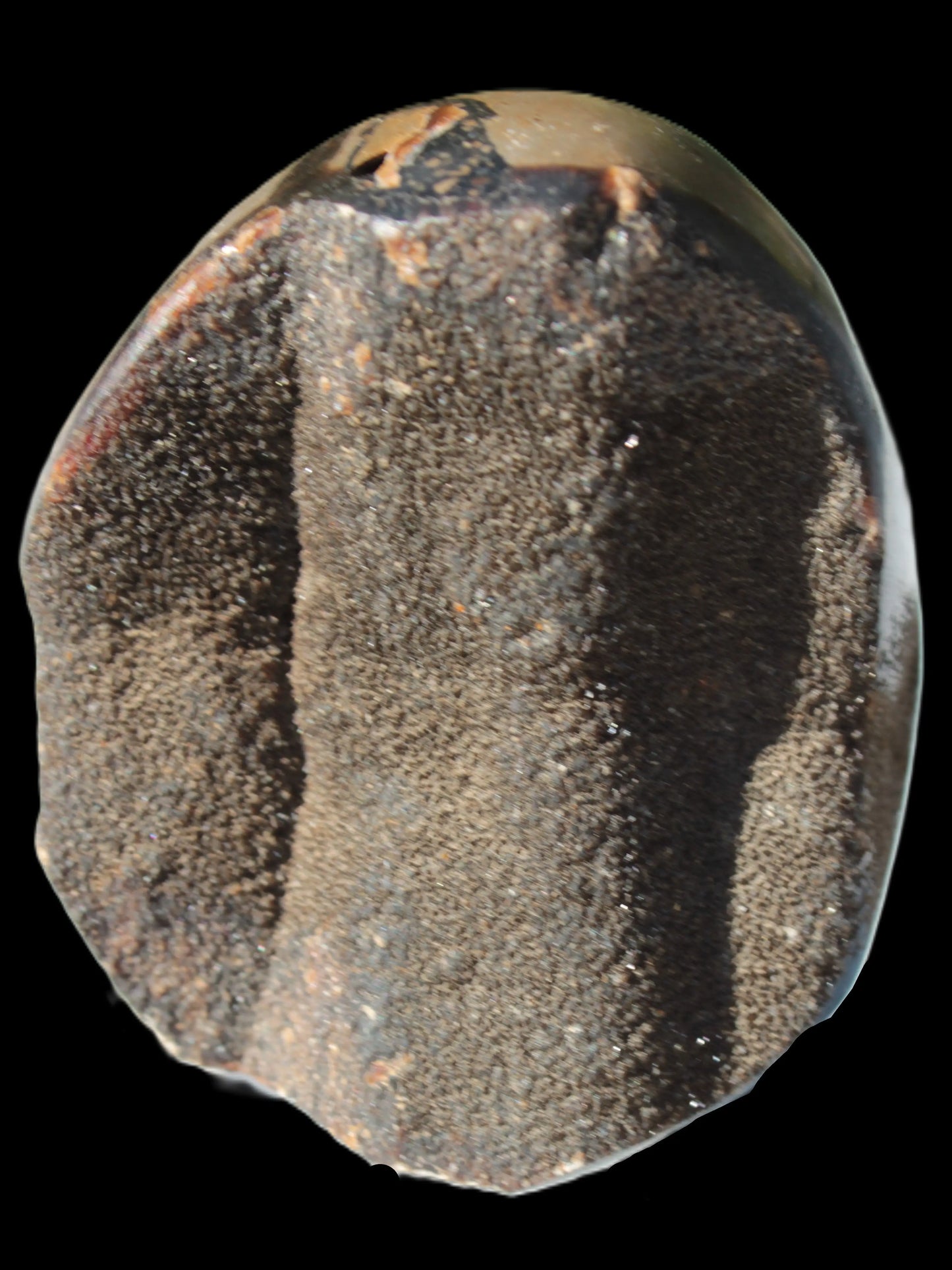 Septarian Dragon Stone egg 330g Rocks and Things