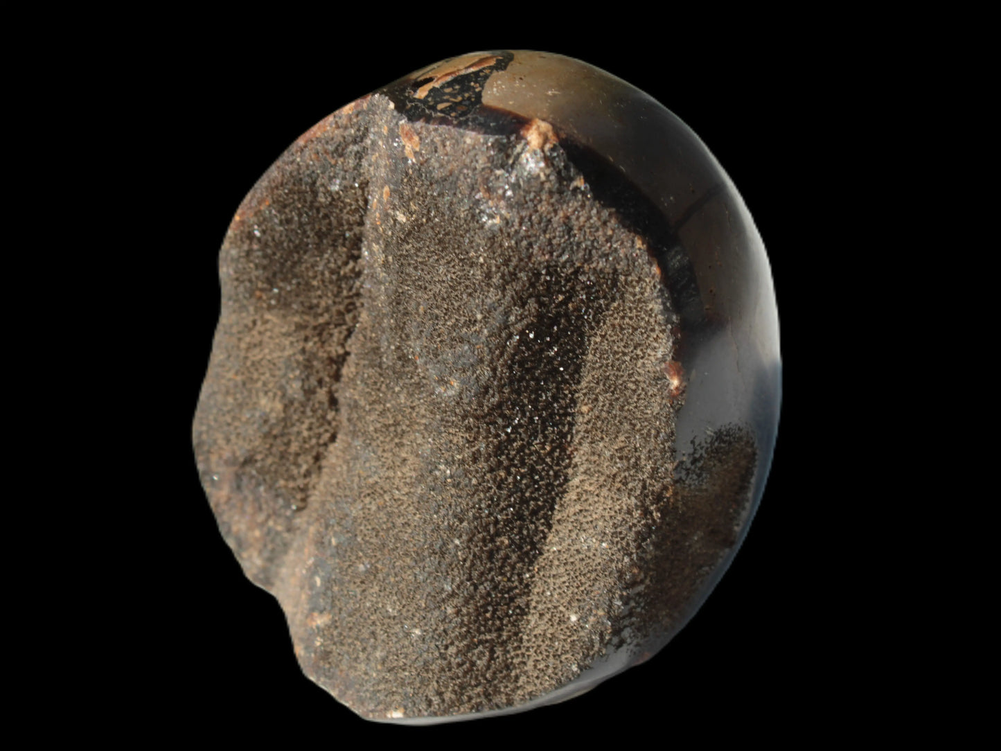 Septarian Dragon Stone egg 330g Rocks and Things